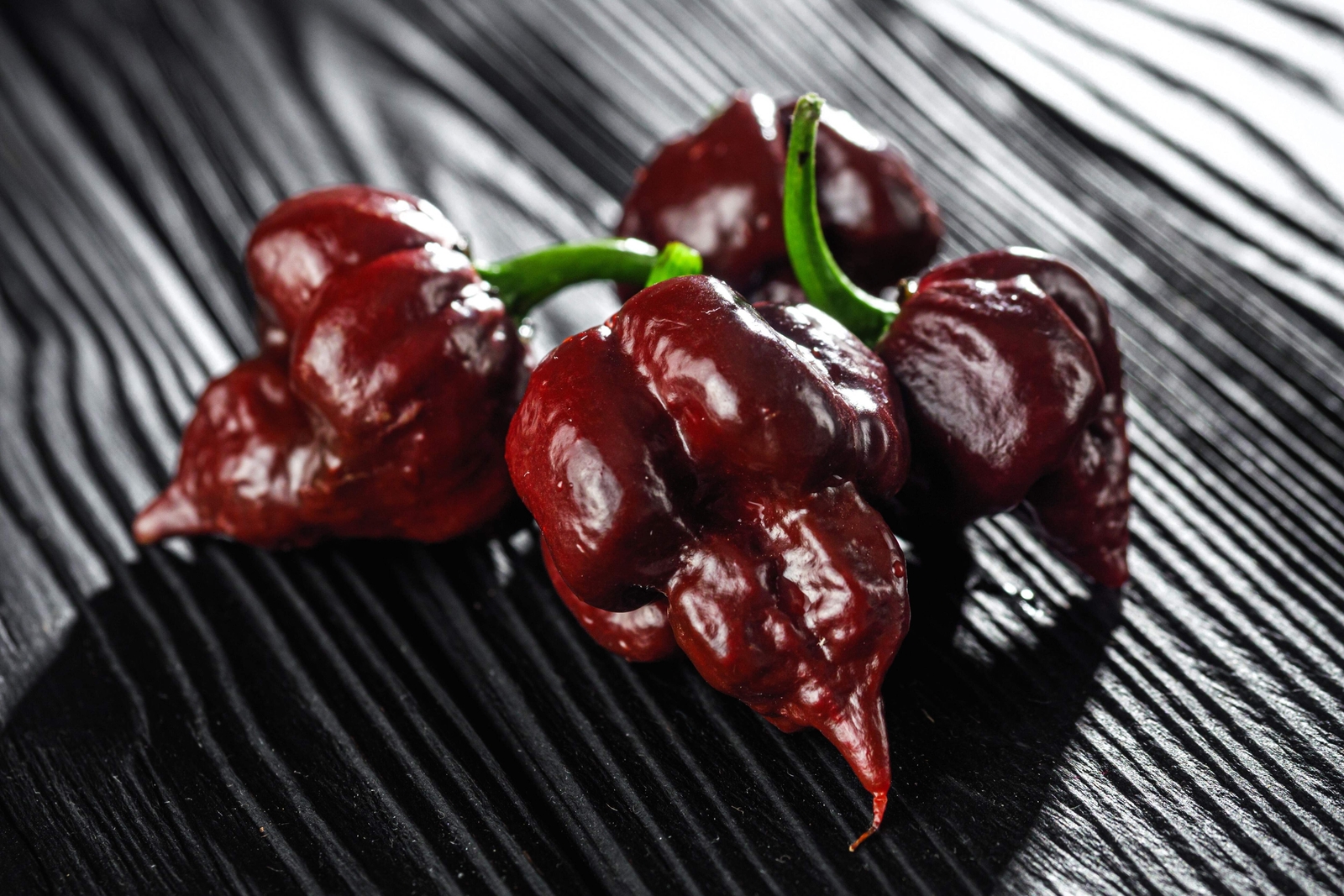 10 Chocolate CAROLINA REAPER PEPPER Worlds Hottest Capsicum Chinense Chili Seeds