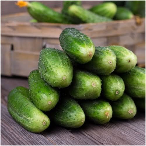 Marketmore 76 Cucumber Seeds For Planting (Cucumis sativus)