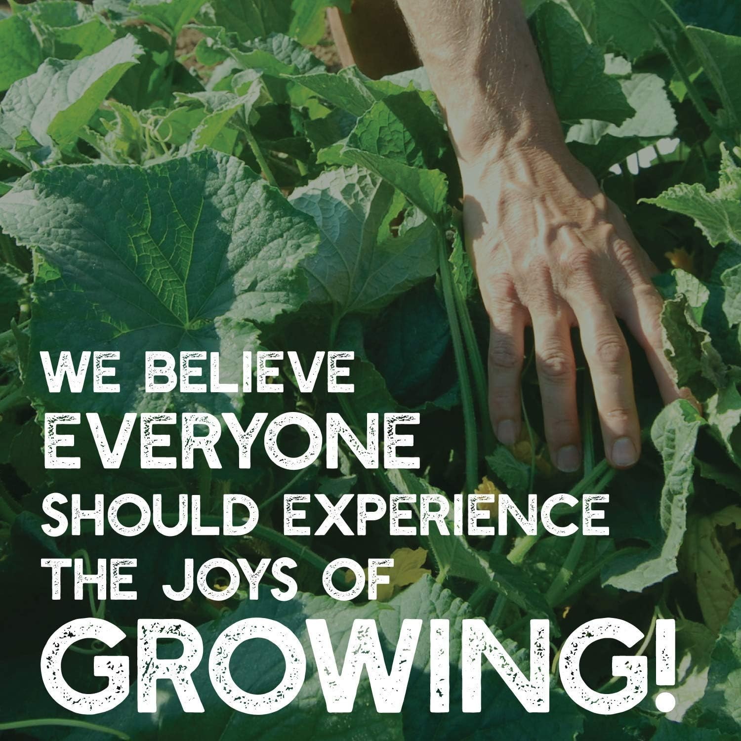 Mountain Valley Seed Co No-Till Garden Farm and Cover Crop Mix Seeds 5 Lbs