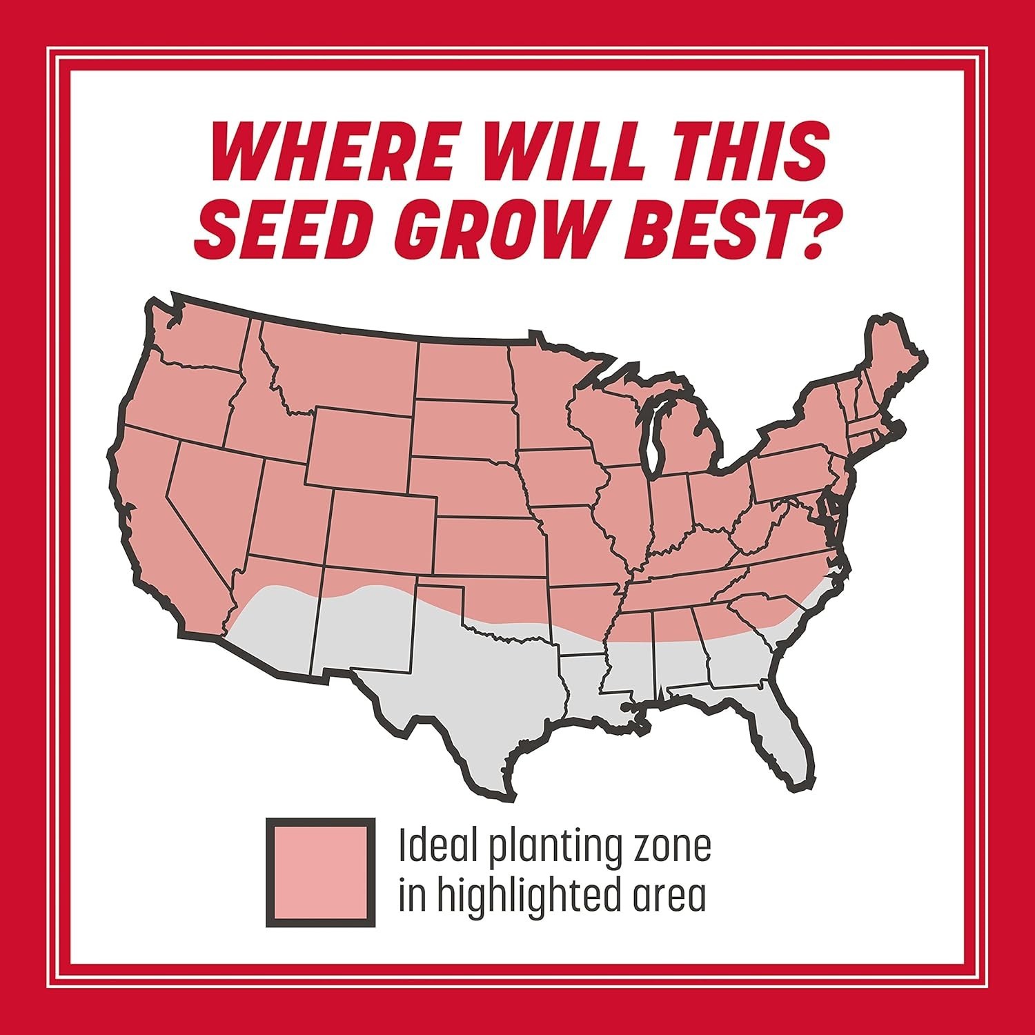 The Rebels 7 lb Tall Fescue Grass Seeds – Fast Germination for Optimal Lawns