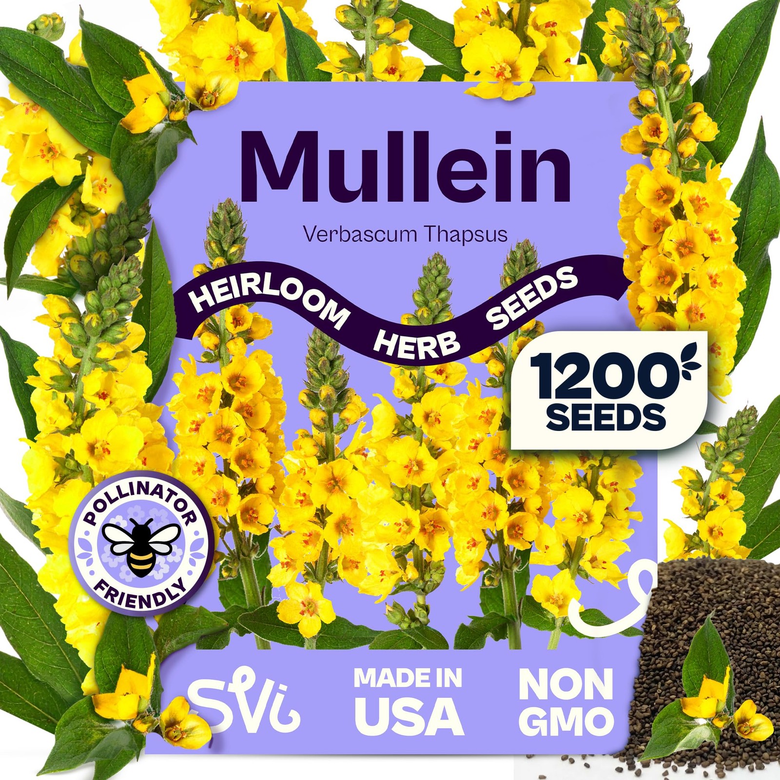 SVI 1200 Mullein Seeds for Planting (Verbascum thapsus) – Great Yellow