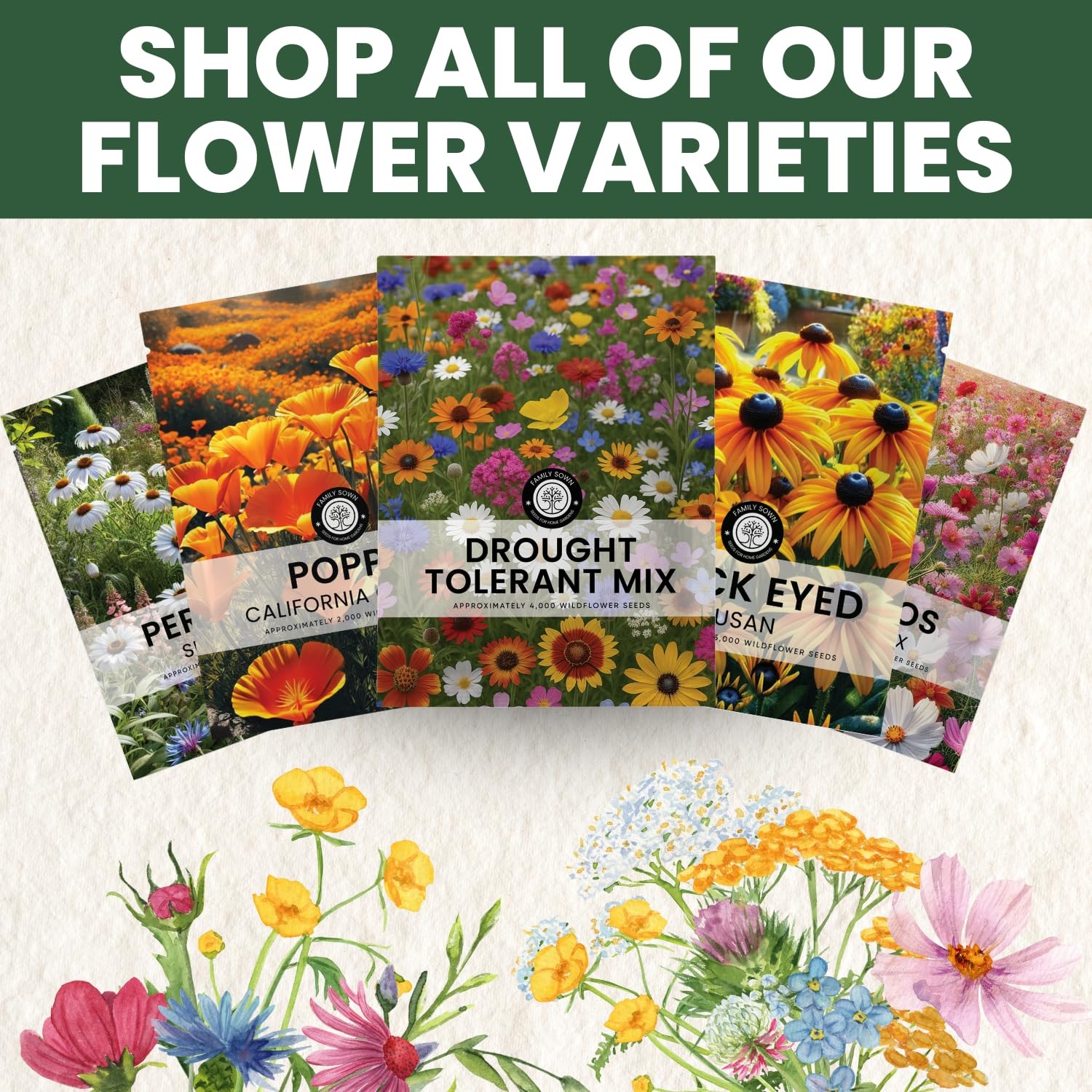 Drought Tolerant Seed Mix 90,000 Seeds for Planting 4 Ounce Pouch