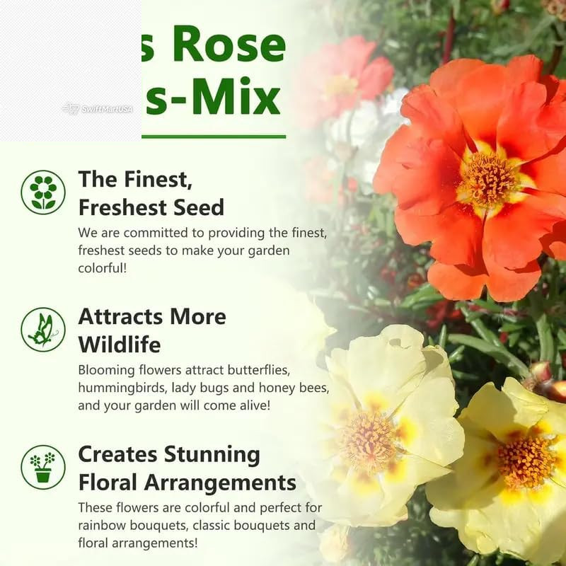 20000+ Moss Rose Seeds Portulaca Grandiflora Mixed Color Flower Ground Cover