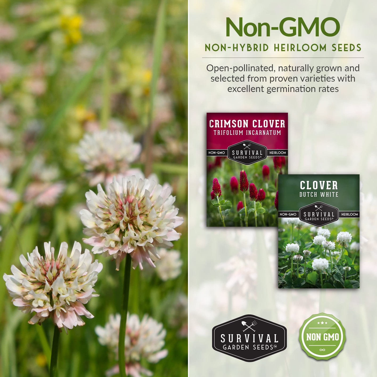 Clover Seed Collection for Planting – 2 Packets of Crimson & Dutch Red, White