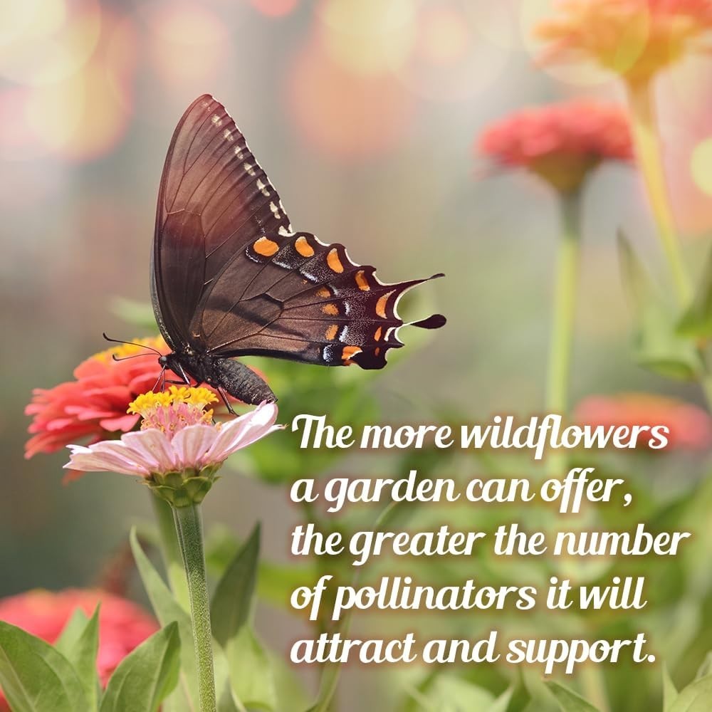 Eco-Friendly 1oz Wildflower Seed Packet – Attract Pollinators & Butterflies