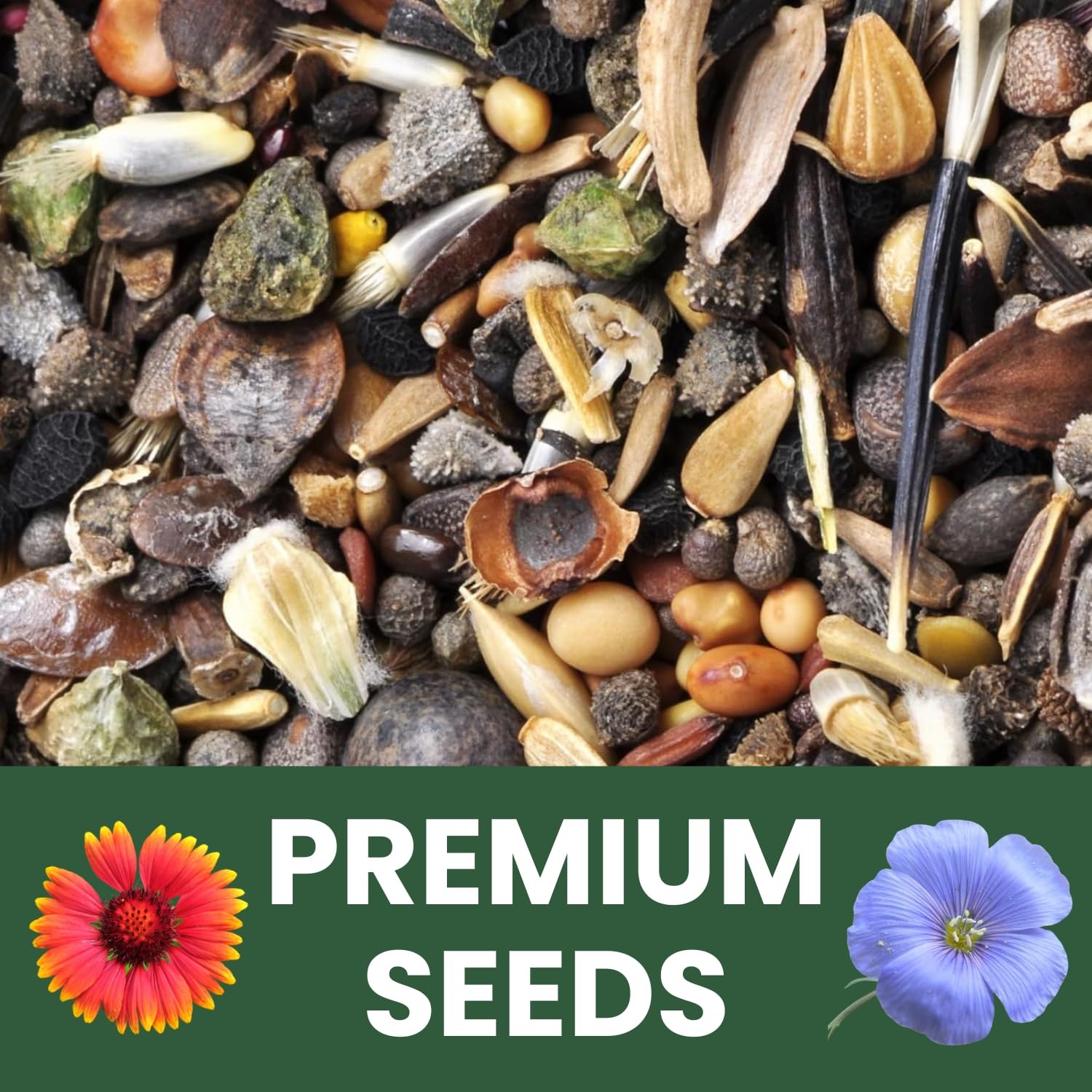 Family Sown Midwest Regional Mix 56000 Seeds For Planting 2026 Season 4 Ounce