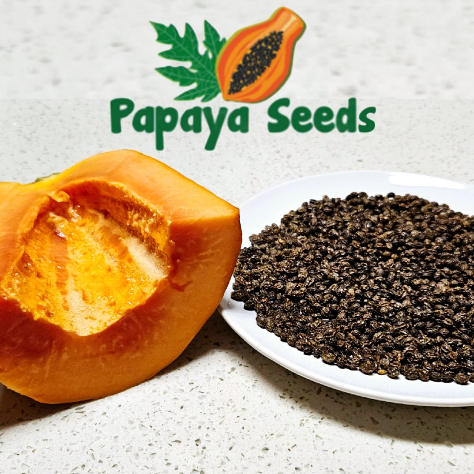 TURMERIC GINGER W/ FREE 100 Papaya Seeds, Organic, For Planting Or Cooking, Herb