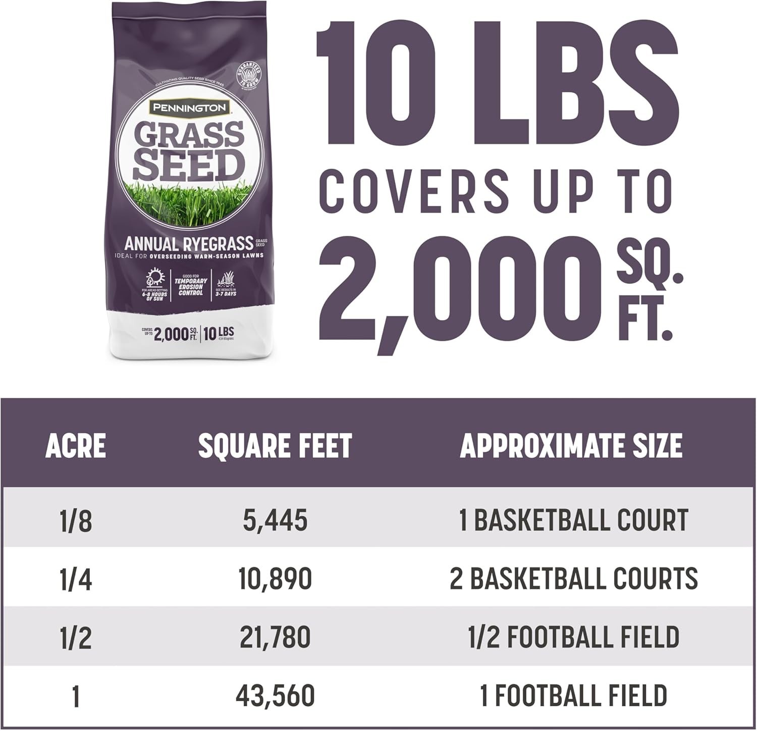 Fast-Growing Annual Ryegrass Seed, 10 Lb – Disease-Resistant Lawn Solution