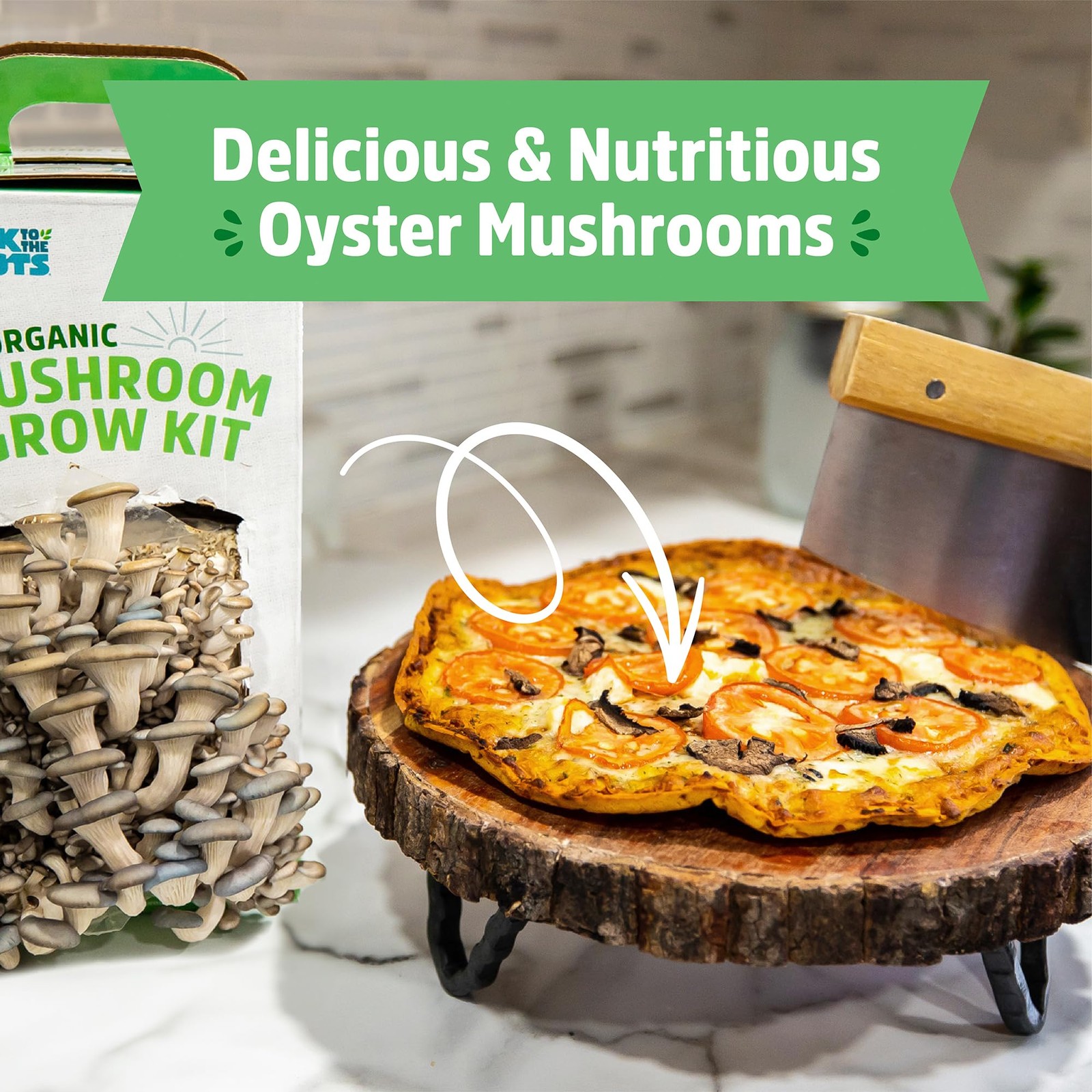 Organic Mushroom Grow Kit Indoor Gourmet Mushrooms All Year Round Easy to Use
