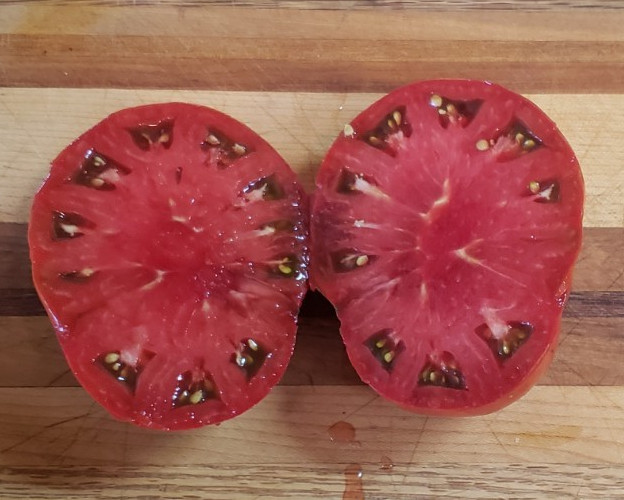 Rosella Crimson Dwarf Tomato (20 seeds) – Bright red with good flavor!