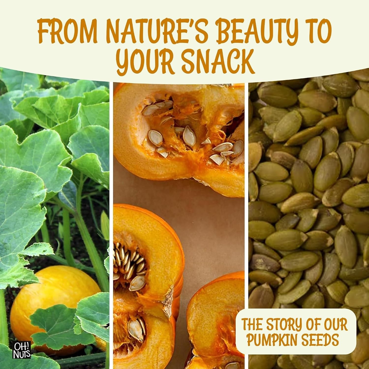 Keto-Friendly Pumpkin Seeds – 2 lb Resealable Bag