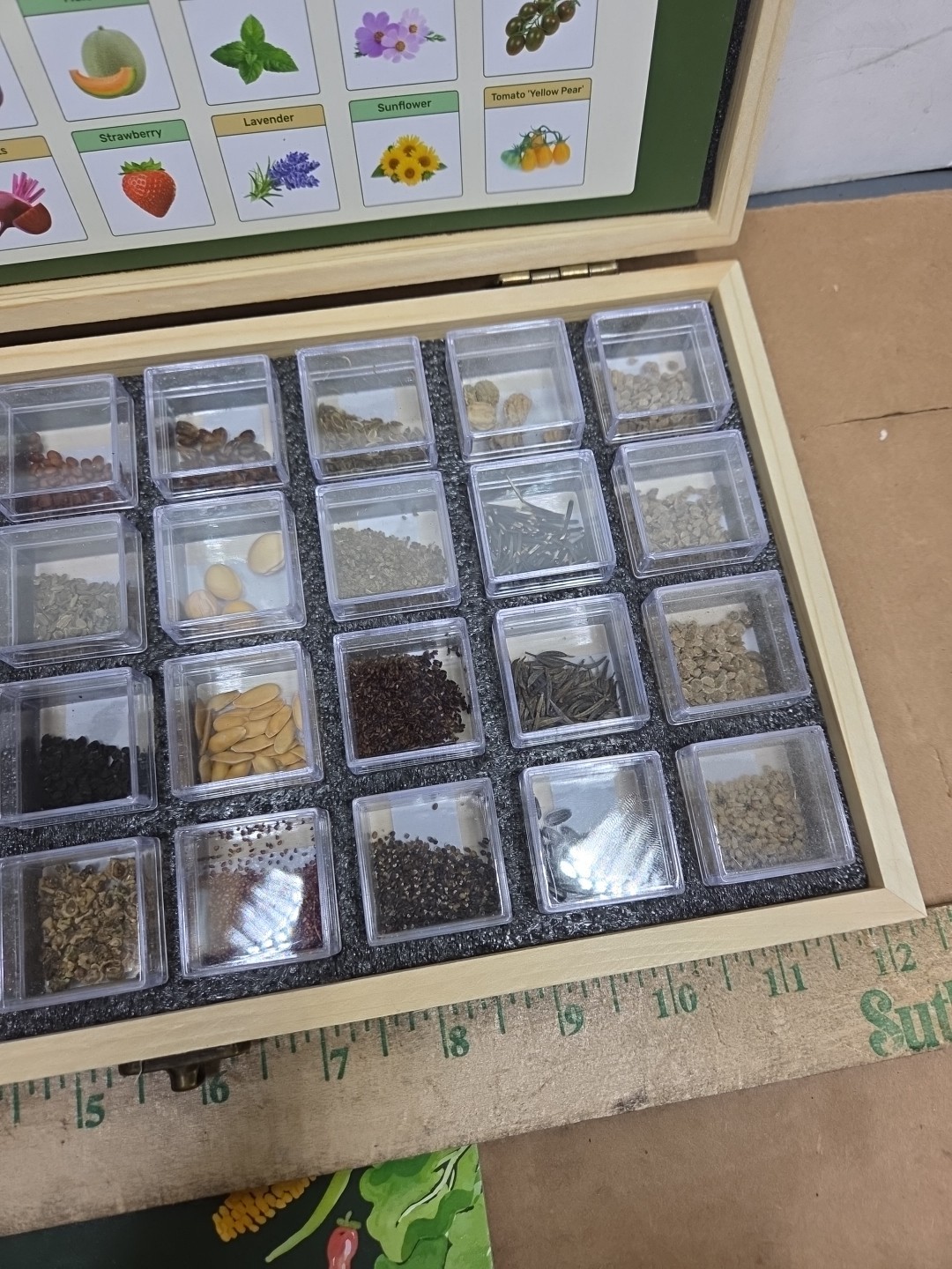Lush & Dew Year-round USDA Zone 6 Seed Bank 32 Varieties
