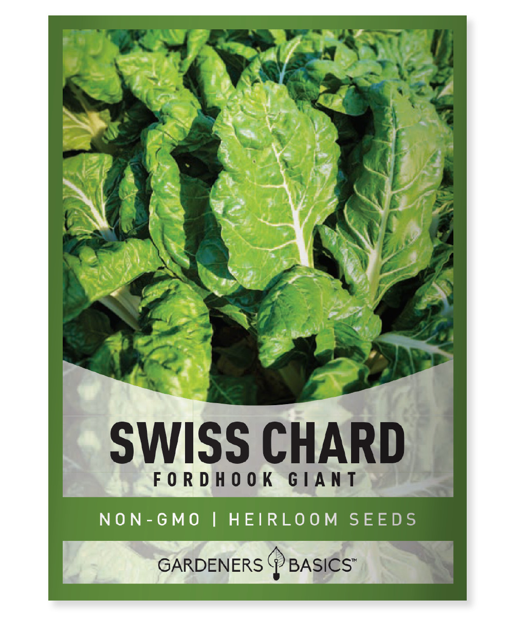 Fordhook Giant Swiss Chard Seeds