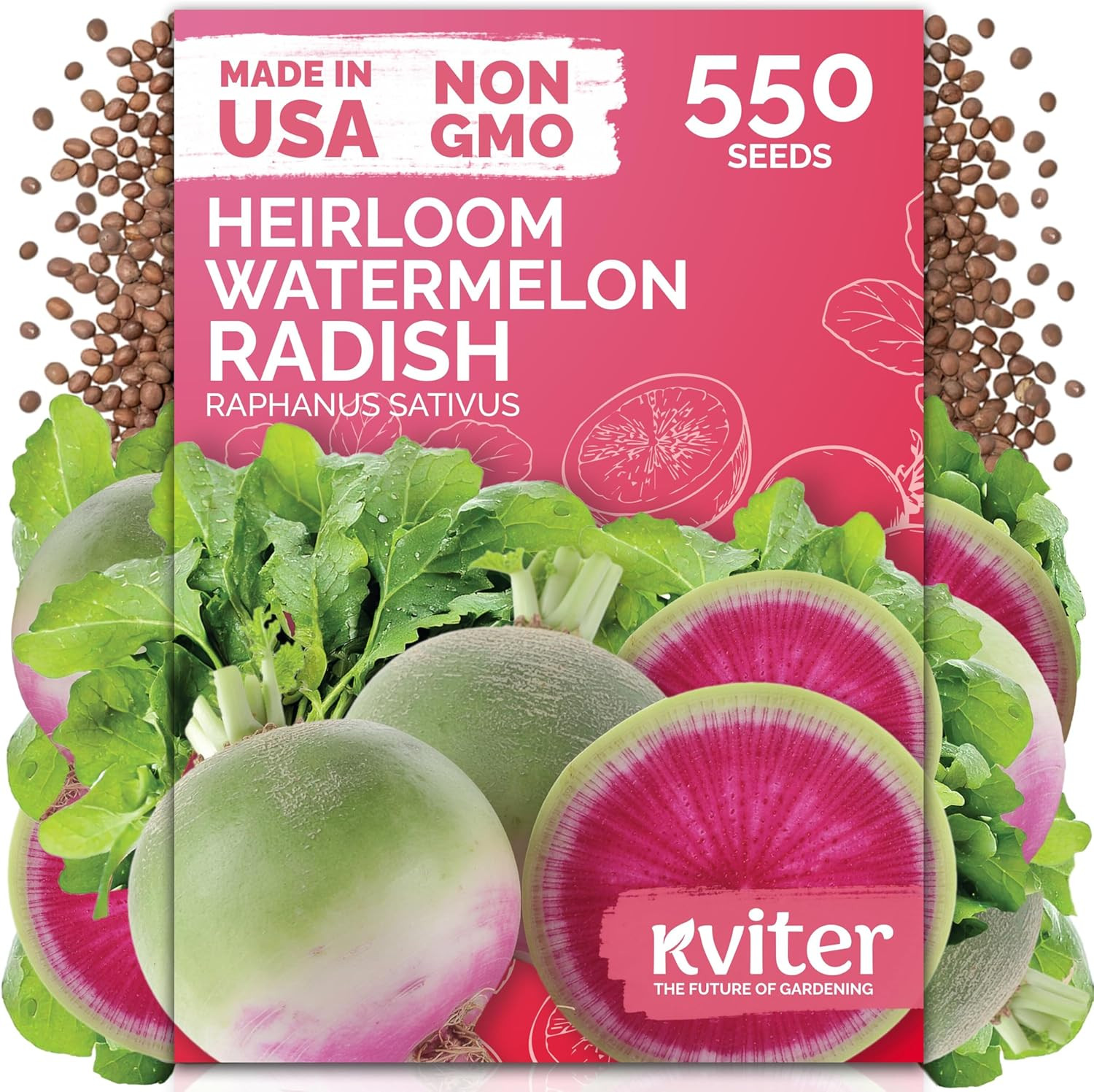 550 Watermelon Radish Seeds (Raphanus Sativus) – Red Meat Radish Seed Packets, M