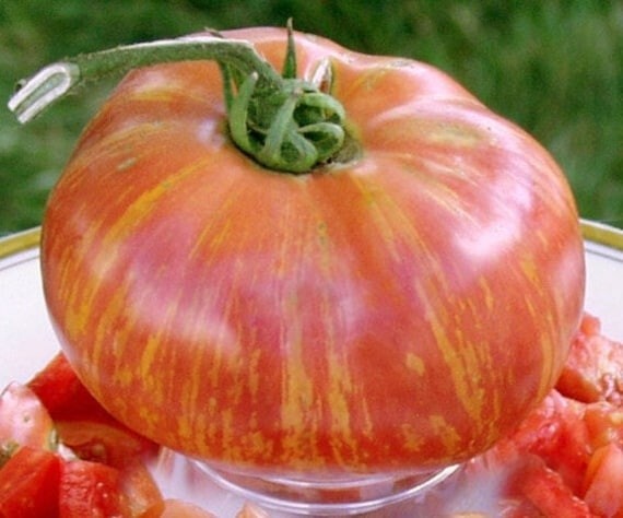 45 Organic Non-Gmo Red Zebra Tomato Seeds- Seeds Of Tomorrow