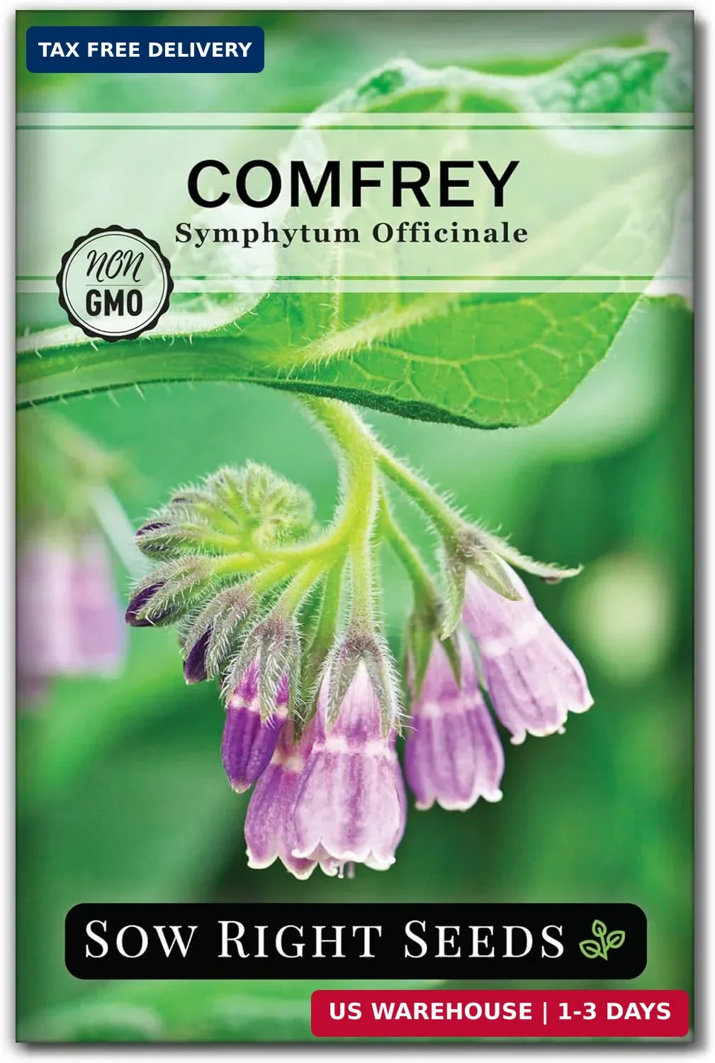 Sow Right Seeds – Comfrey Seeds for Planting – Non-GMO Heirloom – High-Yield Com