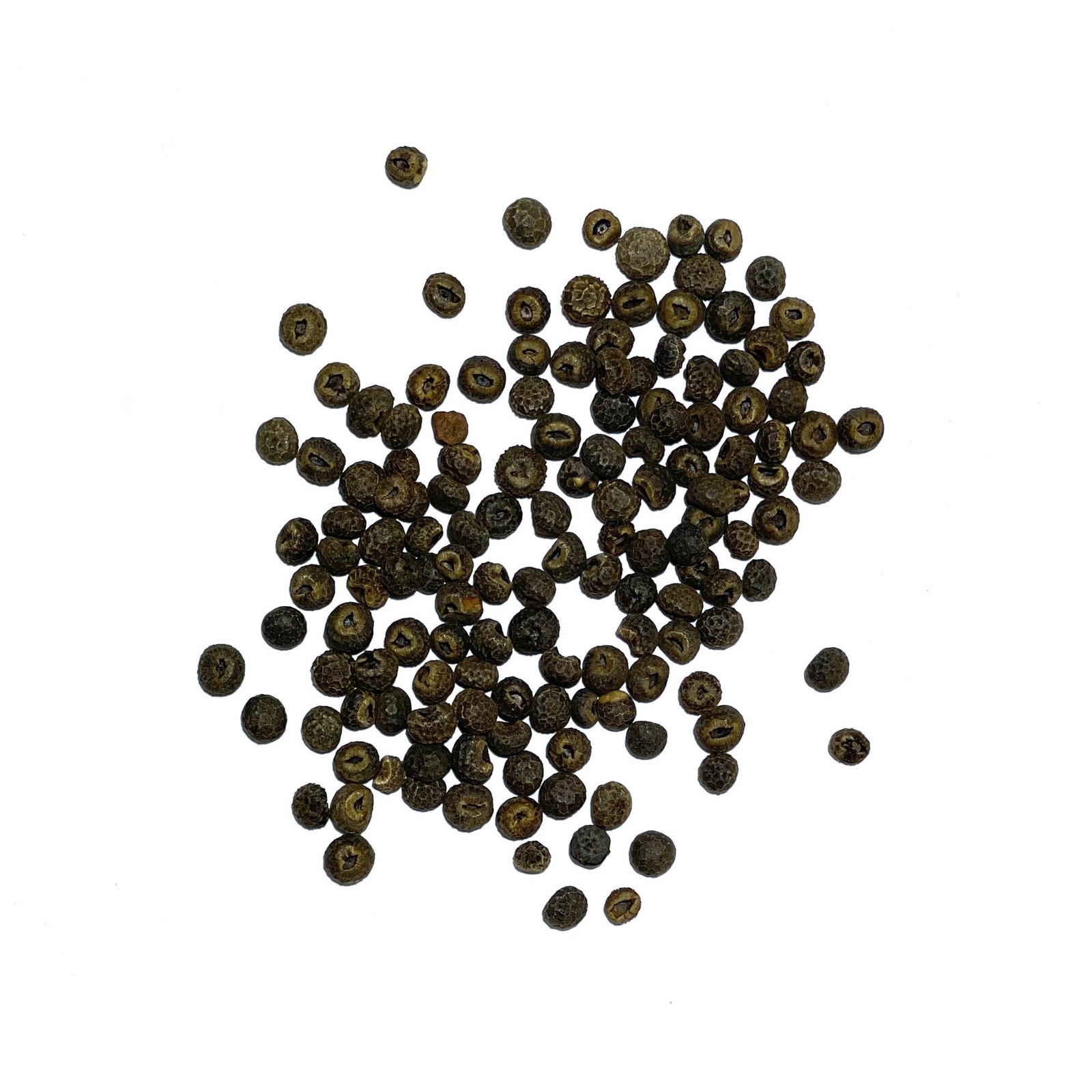 Seed Needs, Black-Eyed Susan Vine Seeds – 100 2 Packs (200 Seeds), Mixed