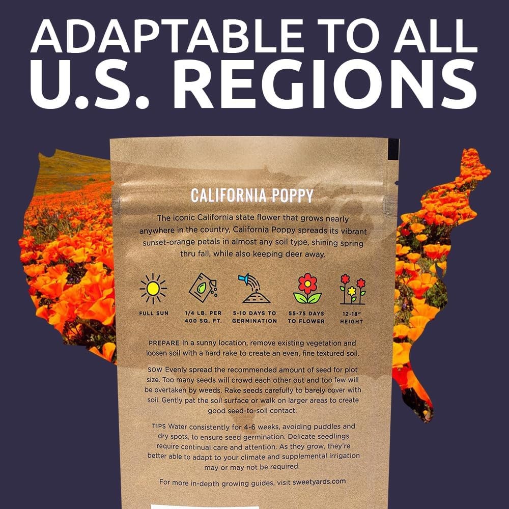 California Orange Poppy Wildflower Seeds – Bulk 1/4 Pound Bag – Over 80000