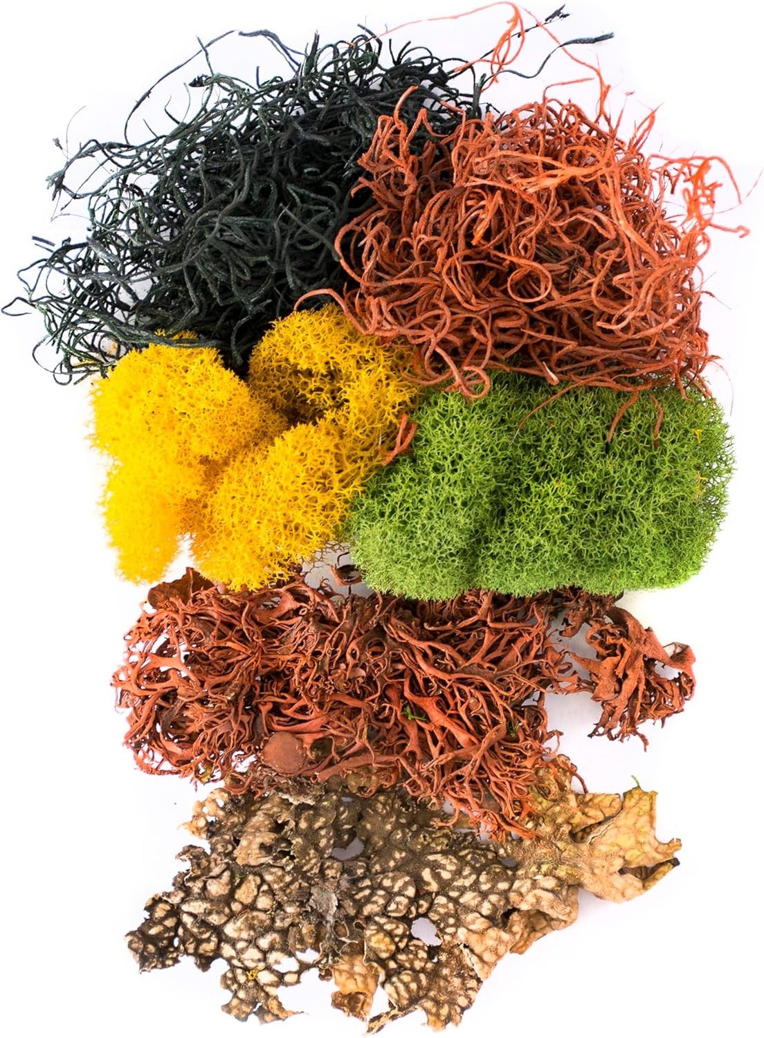 23309 Moss Mix – Decorative Moss for Crafts, Terrariums, Wedding & Table Déc…