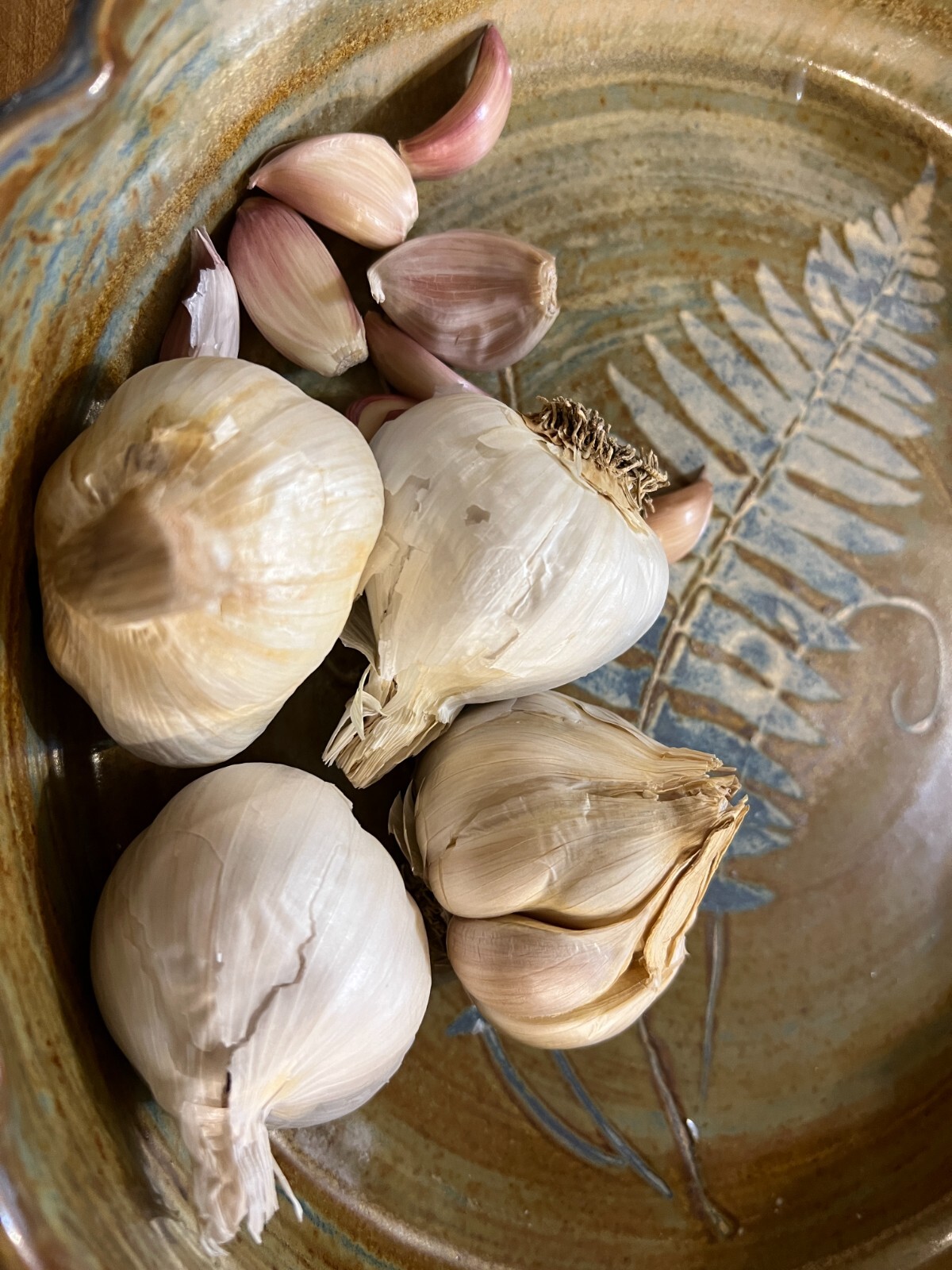 Non GMO Garlic Bulbs for Planting Or Eating 7 Pack (apprx 50-70 Cloves)