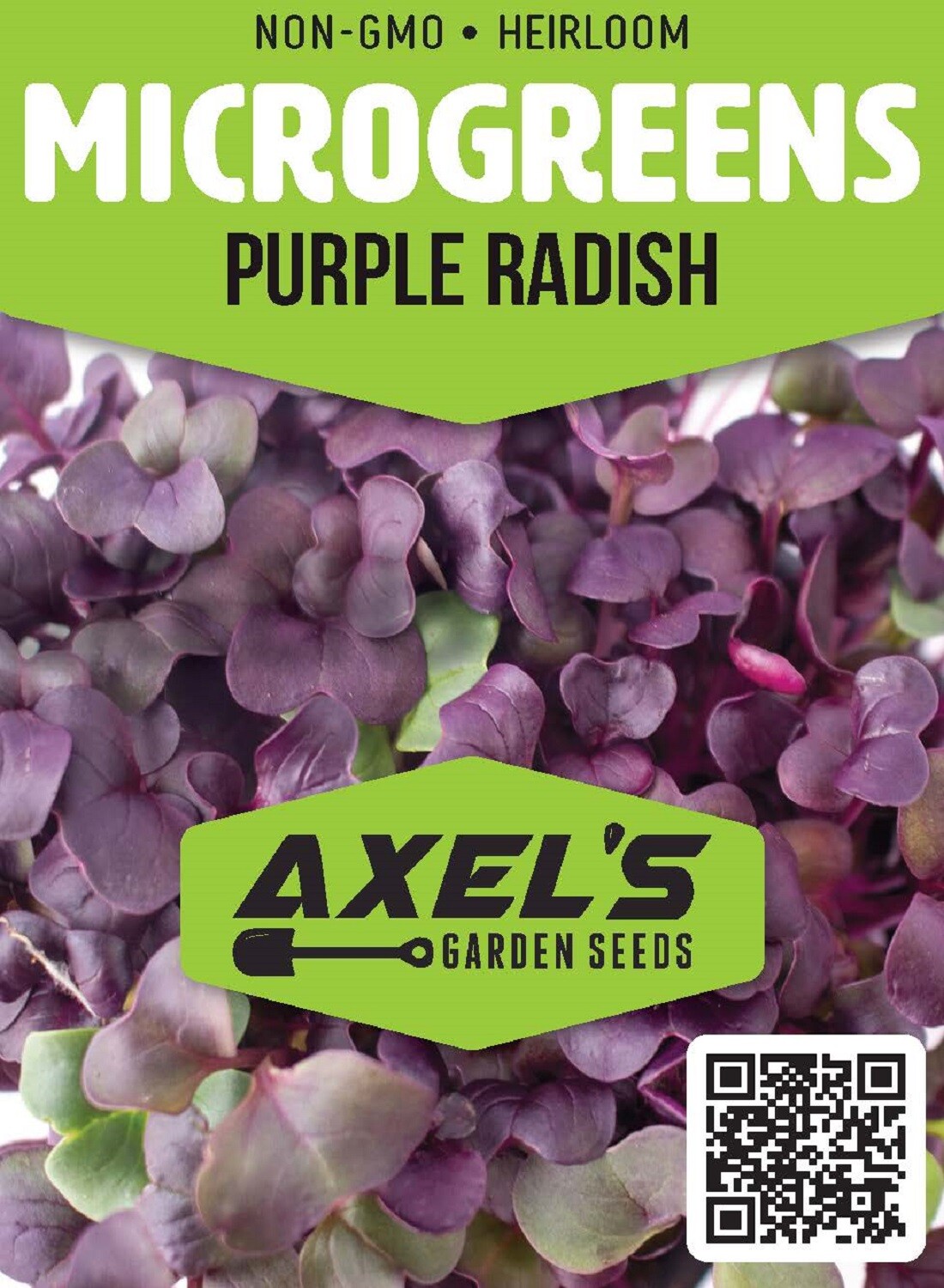 Purple Radish MICROGREEN Seeds | Non-GMO | Heirloom | Seeds for Sprouting