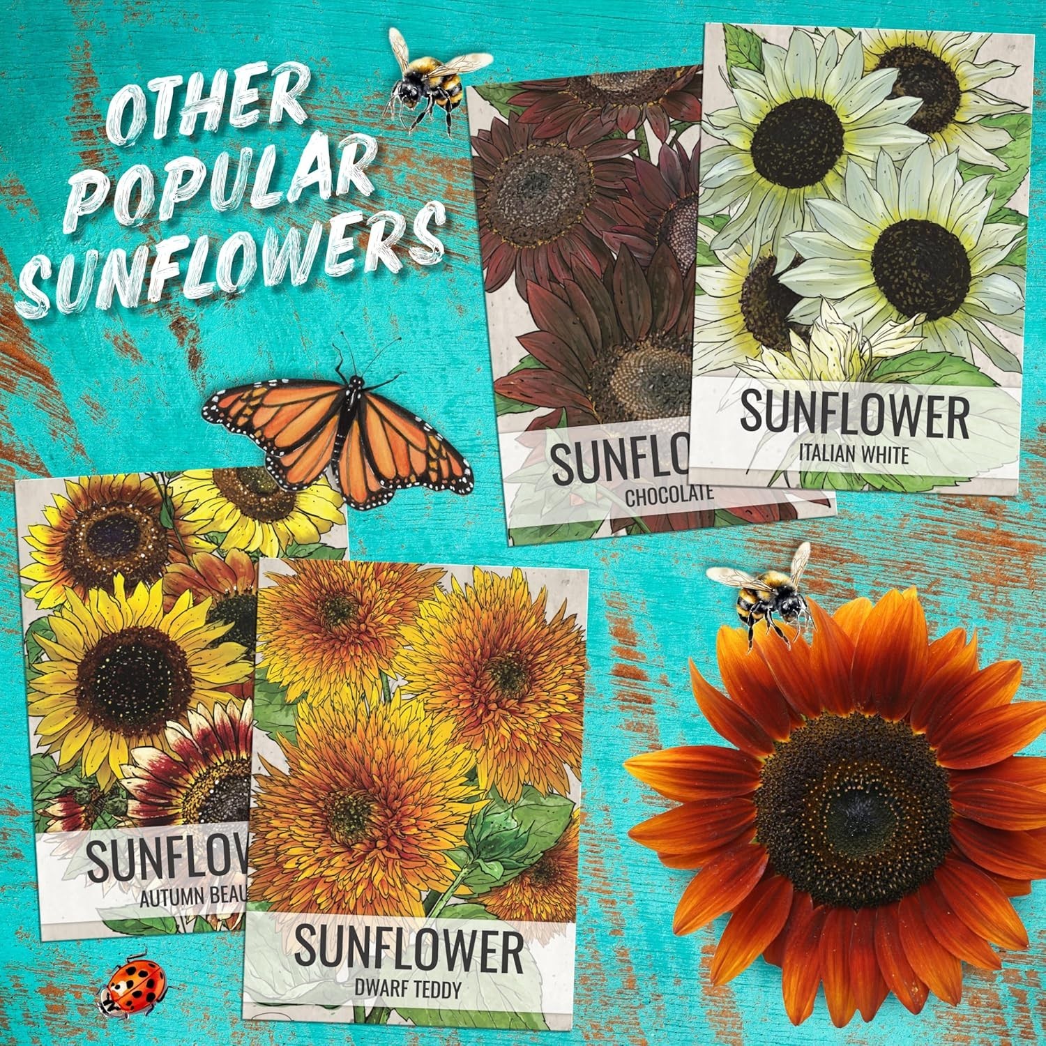 Tithonia Flower Seeds – Mexican Sunflowers, 1 Pack for Vibrant Summer Blooms
