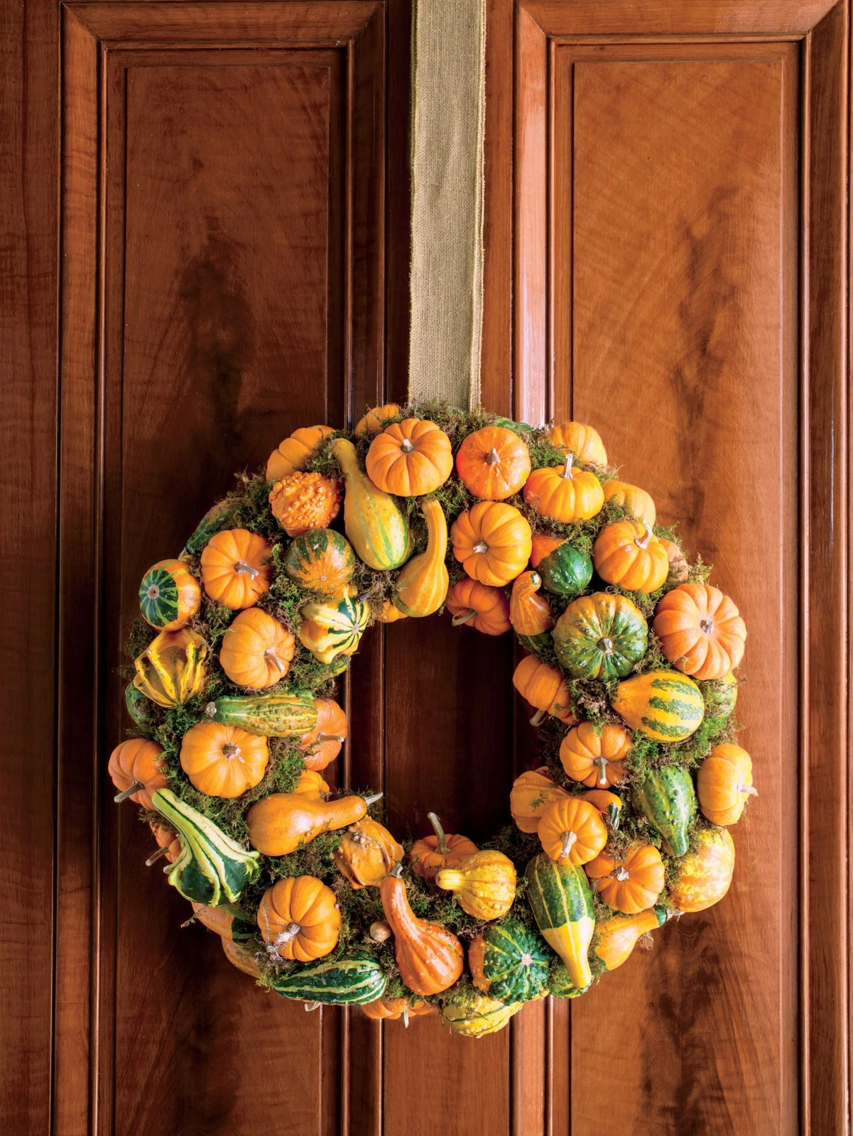 Jack-Be-Little and Wee-B-Little Mix Pumpkin Seeds | Mini Orange Untreated 2024
