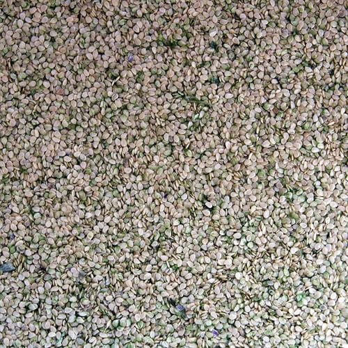Packet of 30 Seeds – Garden Huckleberry (Solanum melanocerasum)