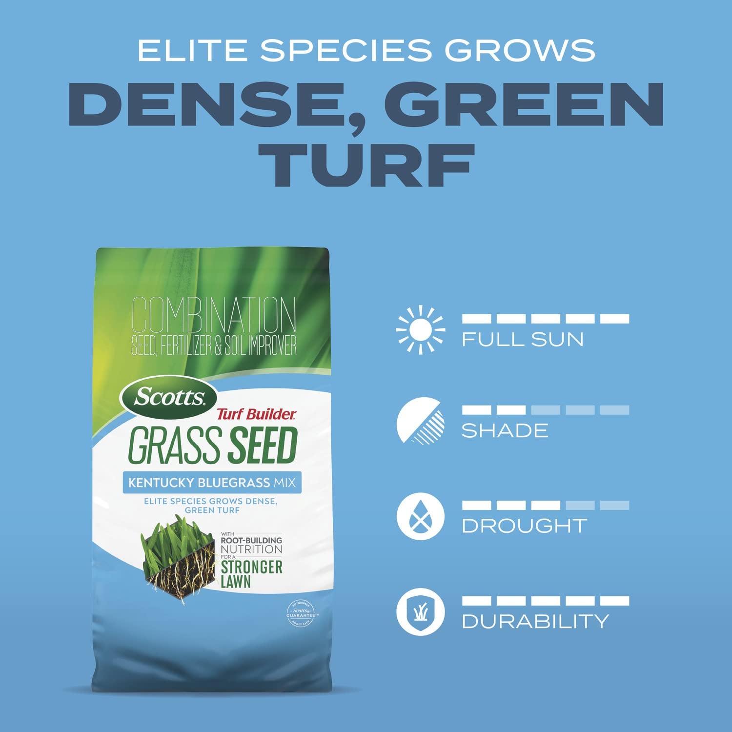 Scotts Turf Builder Kentucky Bluegrass Mix – Plus Lawn Fertilizer And