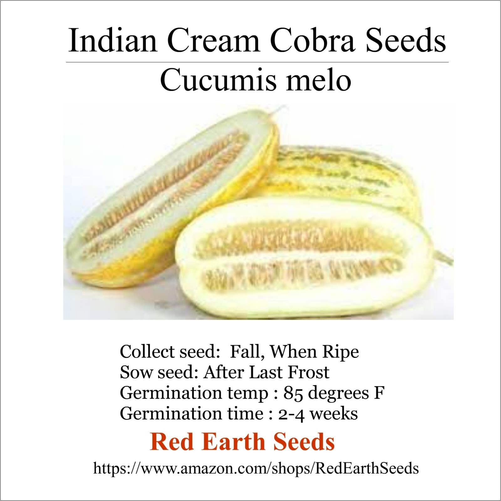 Indian Cream Cobra – 20 seeds – Cucumis melo