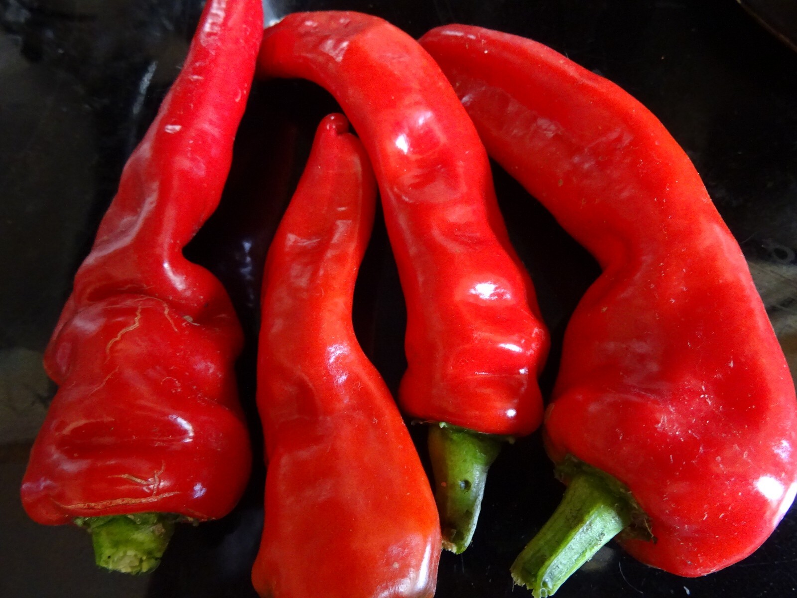 Red Chili Pepper ROKITA Semi-hot 30 seeds Polish Heirloom Organic from 2023