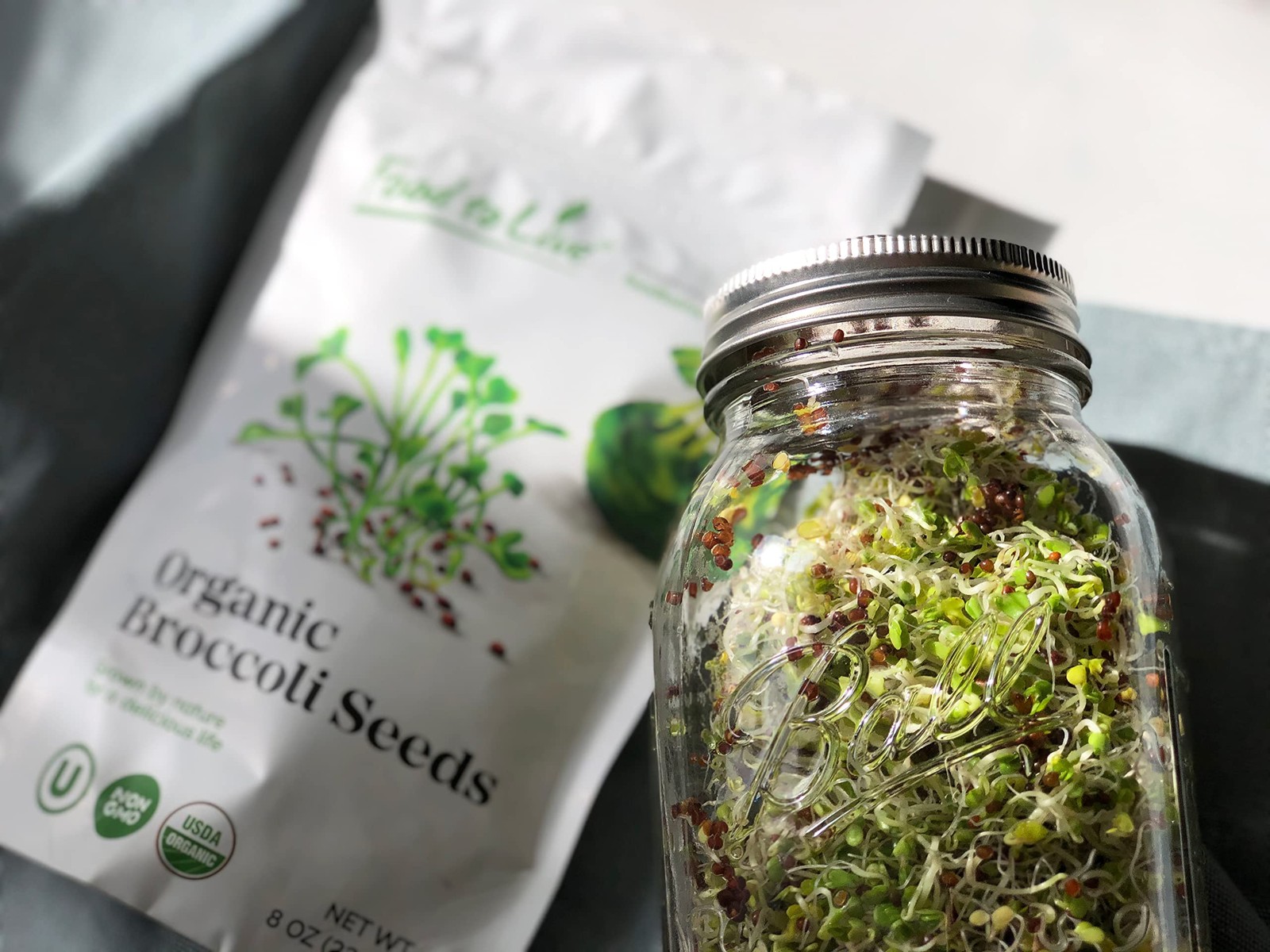 Food To Live Organic Broccoli Seeds For Sprouting 4 Pounds Non-Gmo Vegan Kosher