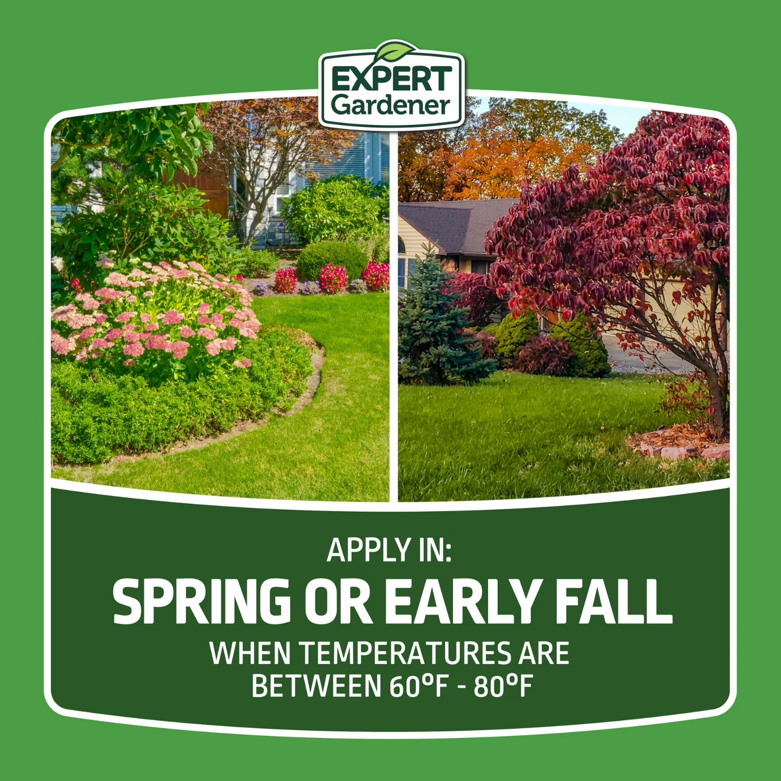 Expert Gardener Tall Fescue Grass Seed Mix, for Sun to Partial Shade, 20 lb.