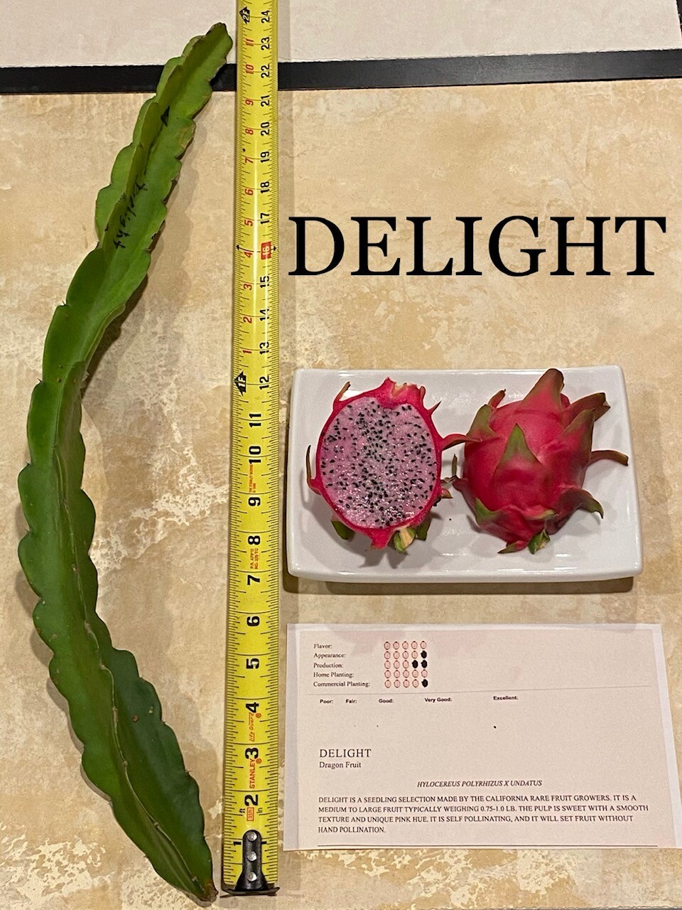 Best Dragon Fruit Cuttings 24-36”, each cutting and FREE SOLAR gopher repellent.