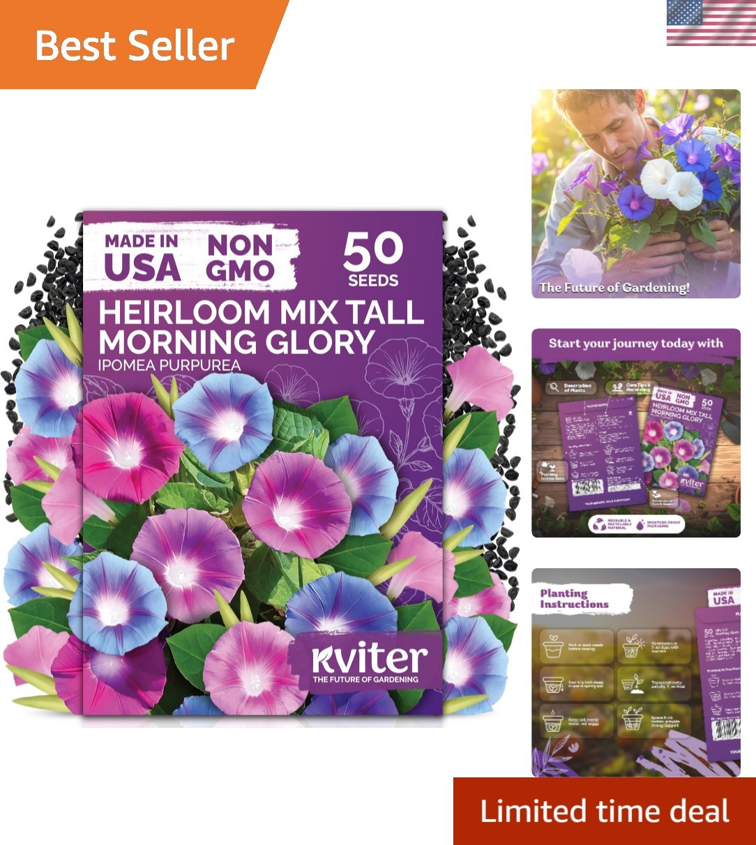 Organic 50 Count Morning Glory Seeds – Climbing Vines for Pollinator Gardens