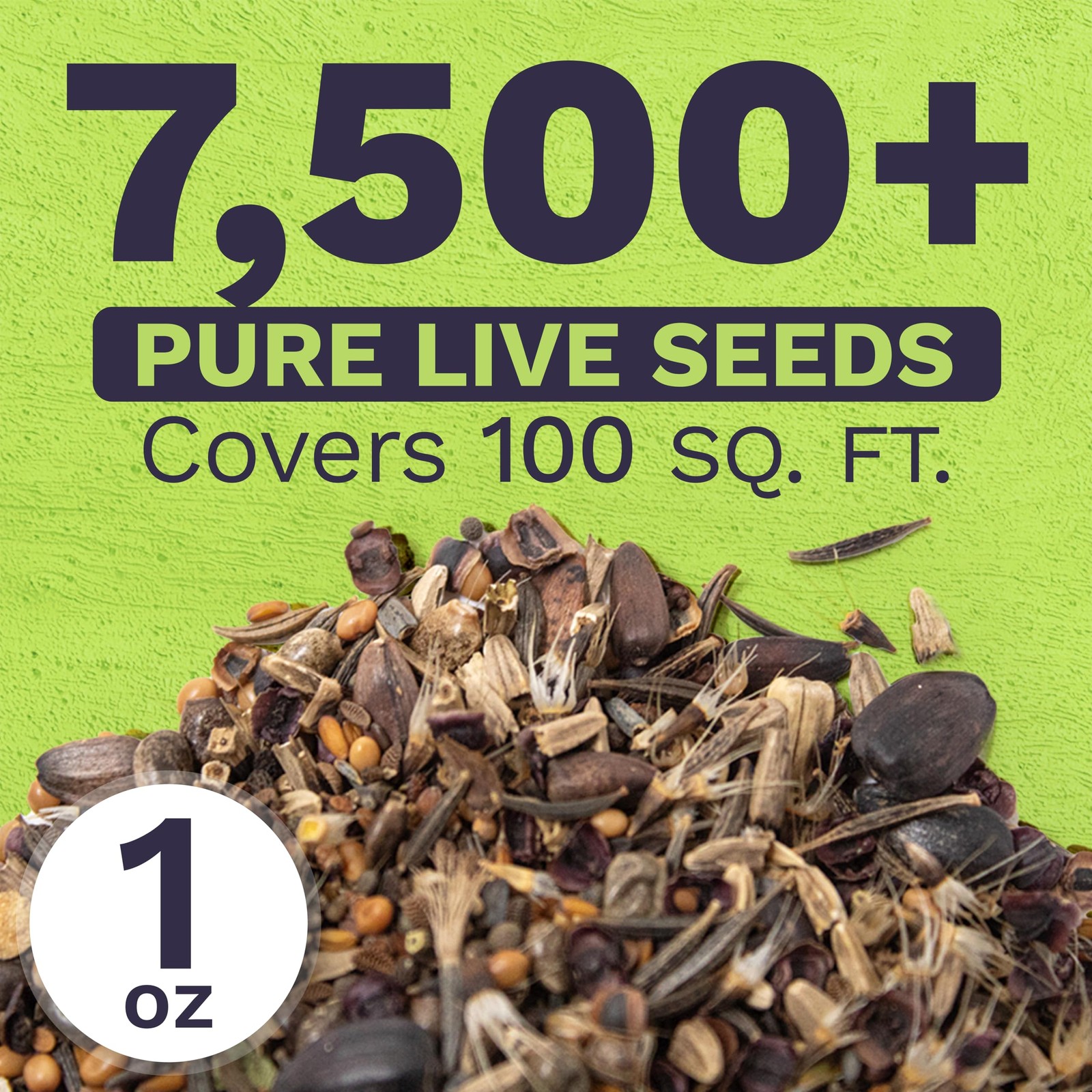 Wildflower Seed Mix Bulk 1 Ounce Packet 7500 Open Pollinated For Bees Butterflie