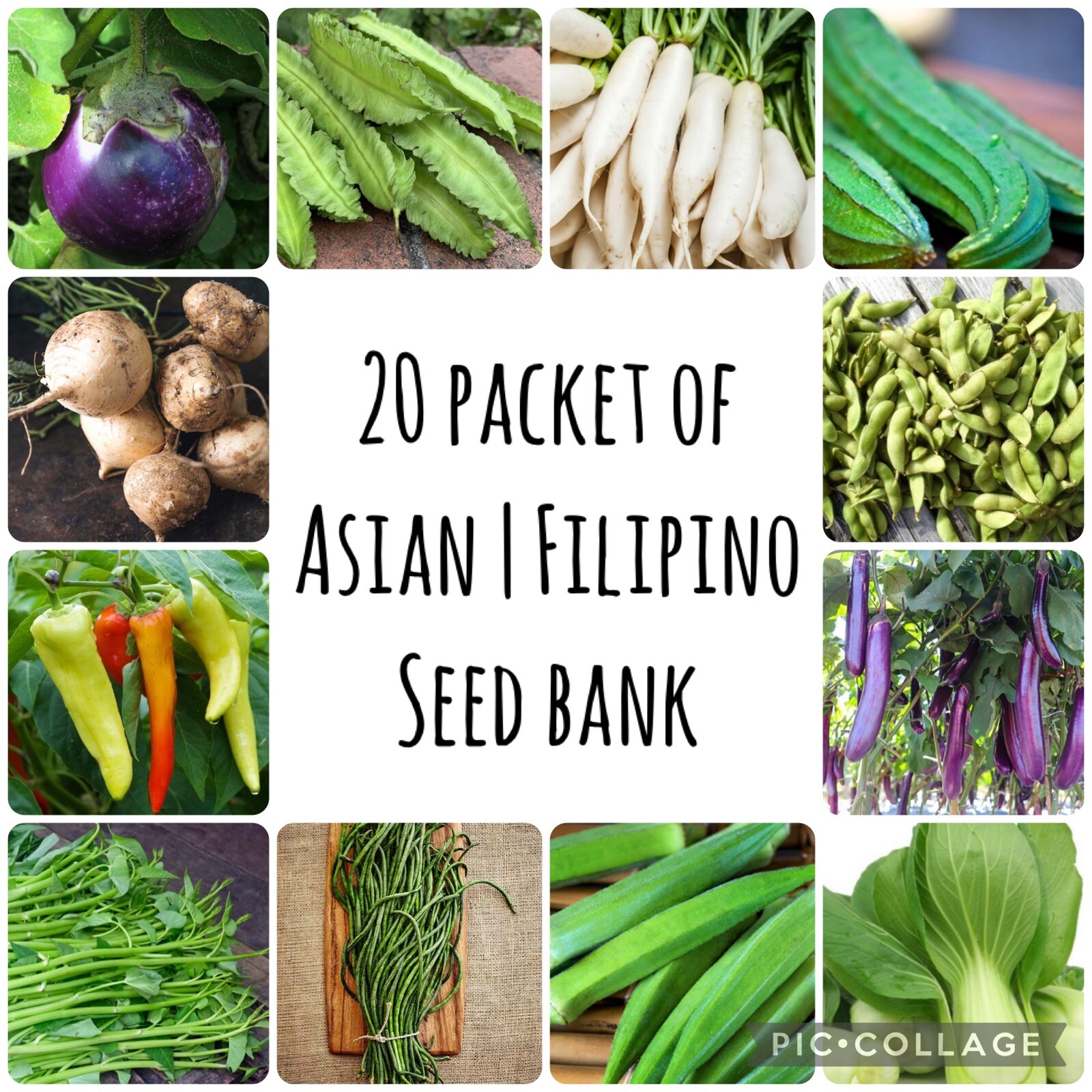 20 Packets of Asian – Filipino Vegetable SEEDS for Planting