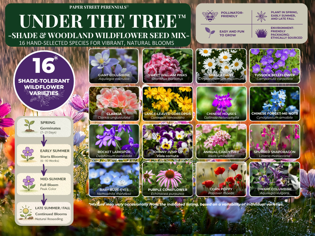 Under The Tree Woodland & Shade Wildflower Mix 1 pound covers 3,200 square feet