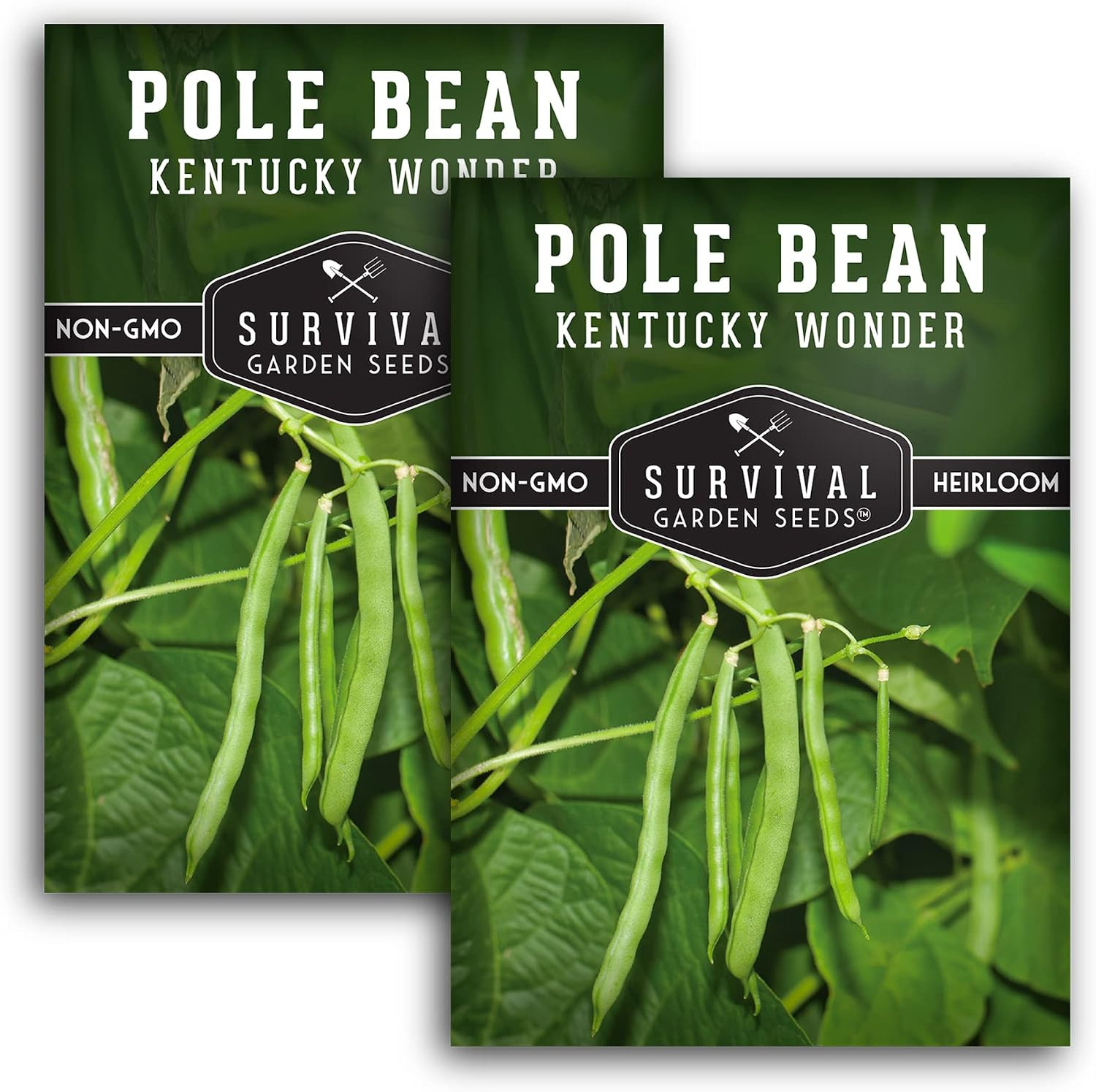 Kentucky Wonder Pole Bean Seeds for Planting – Heirloom Climbing Green Beans