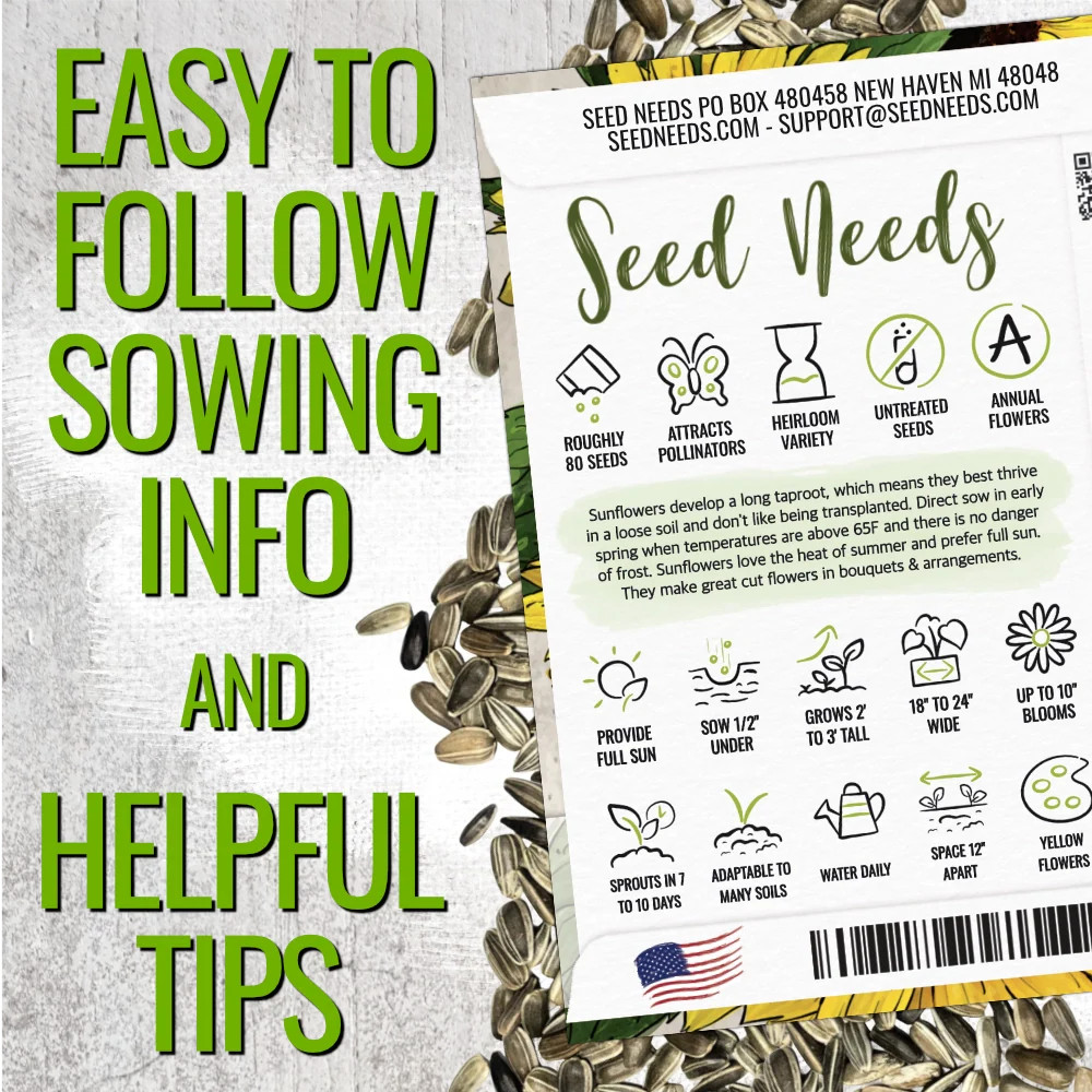 Dwarf Sunspot Sunflower Seeds For Planting (Helianthus annuus)
