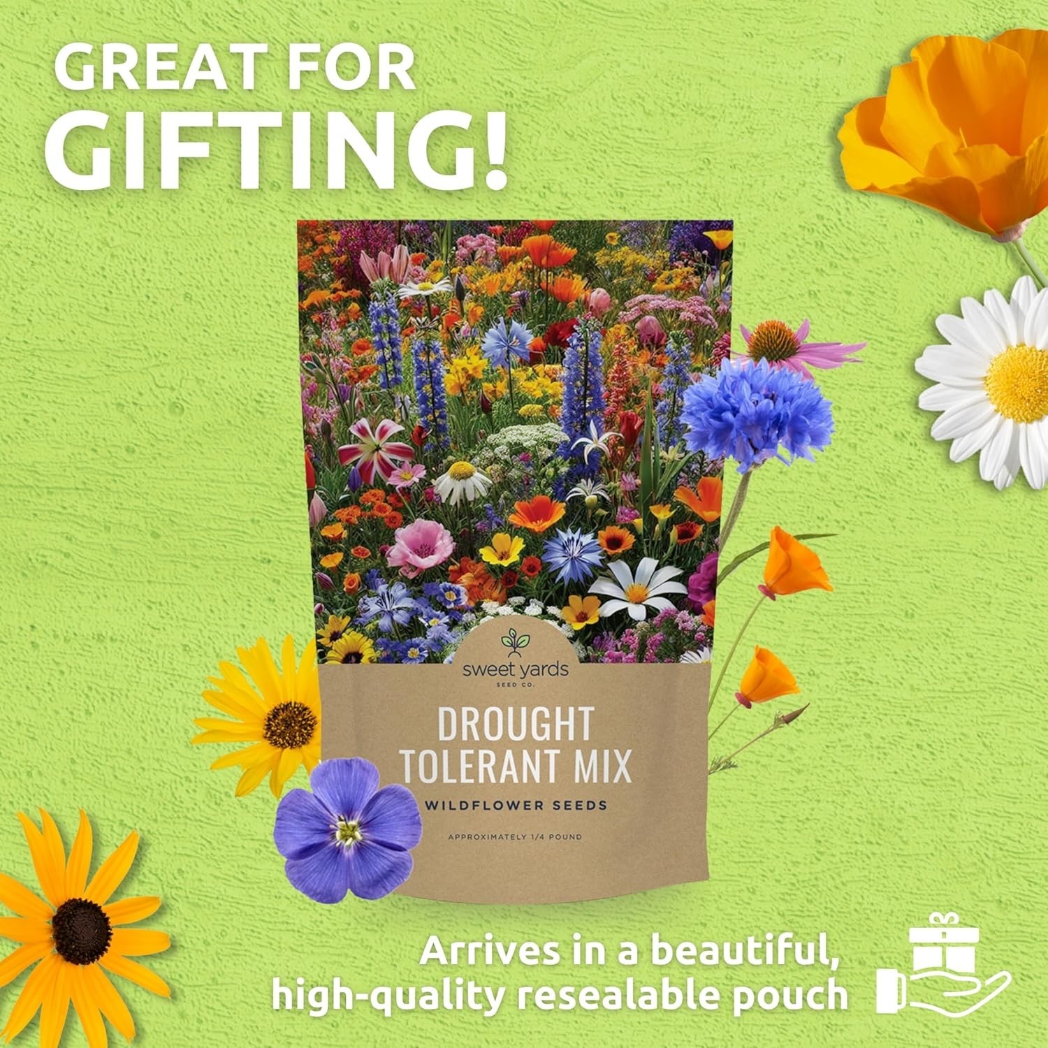 Drought Tolerant Wildflowers Mix – 30,000 Seeds, 1/4 lb Bag, Multi Colors