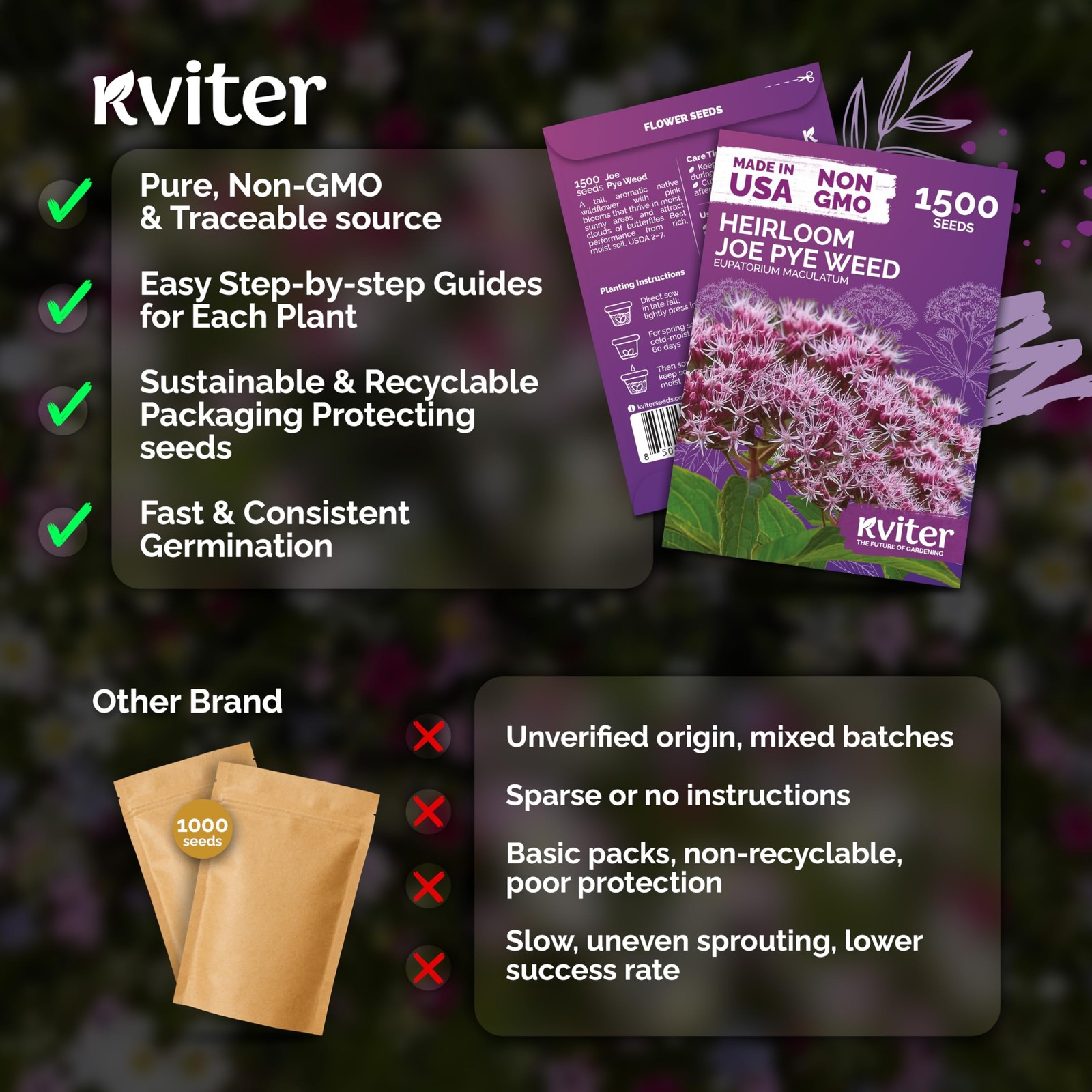 KVITER 1500 Joe Pye Weed Seeds (Eupatorium Maculatum)