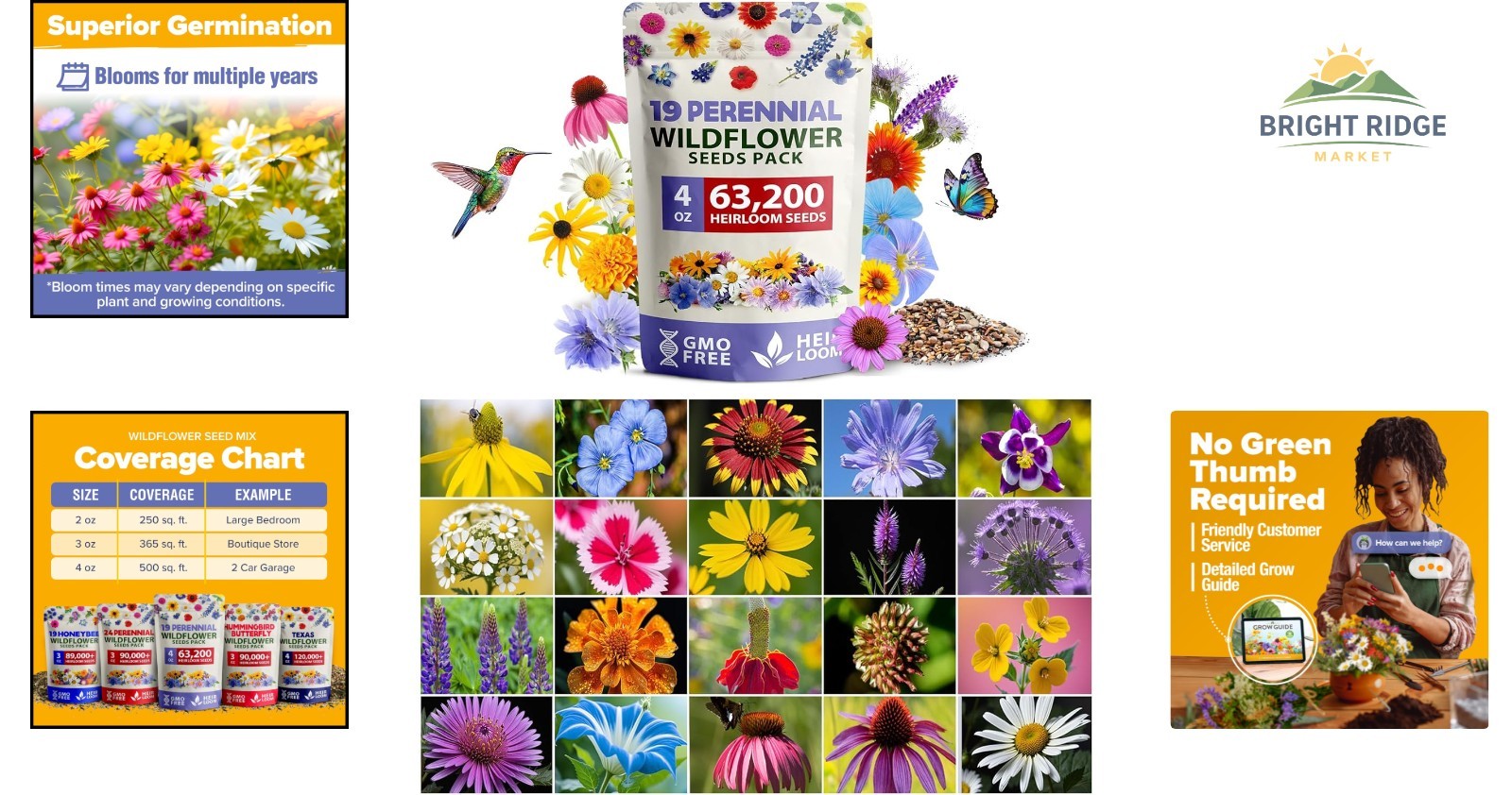 63,200+ Wildflower Seeds for Spring to Fall Blooming, Full Sun Exposure