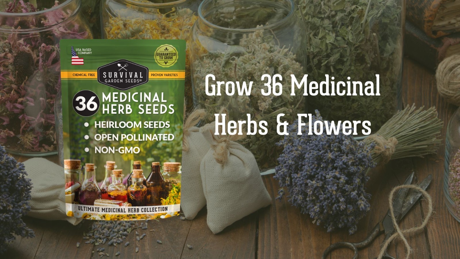 Medicinal Herb Seeds Variety Pack 36 Heirloom Non GMO Healing Plants for