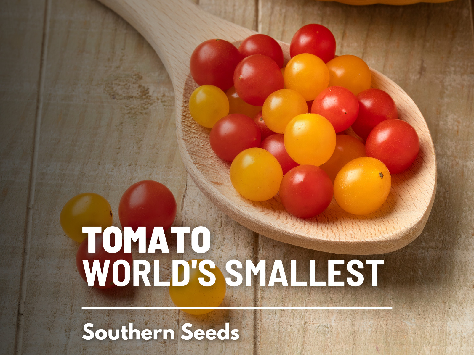 Tomato, World’s Smallest – Tomberry – Heirloom – Non-GMO (Solanum lycopersicum)