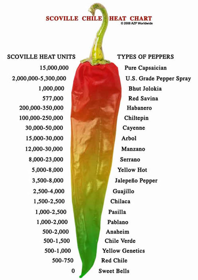 25 HATCH BIG JIM PEPPER SEEDS ~ heirloomseedguy ~ 2026 ~ NON-GMO