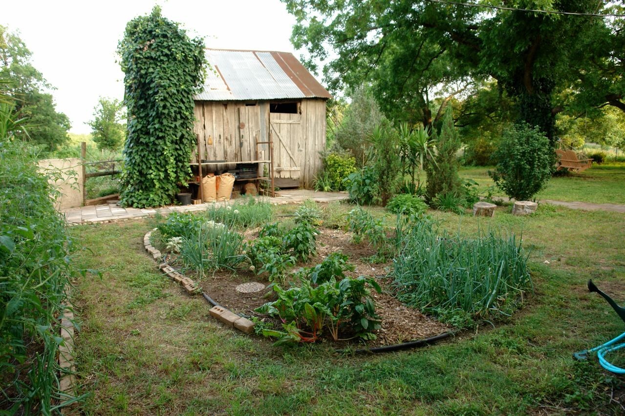 300,000 Prepper Survival Emergency Vegetable Seeds + 20 Variety Herb Seed Cache