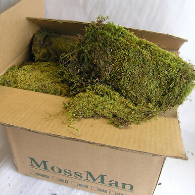 Floral Sheet Moss – Emerald Green – 1.5 cubic feet