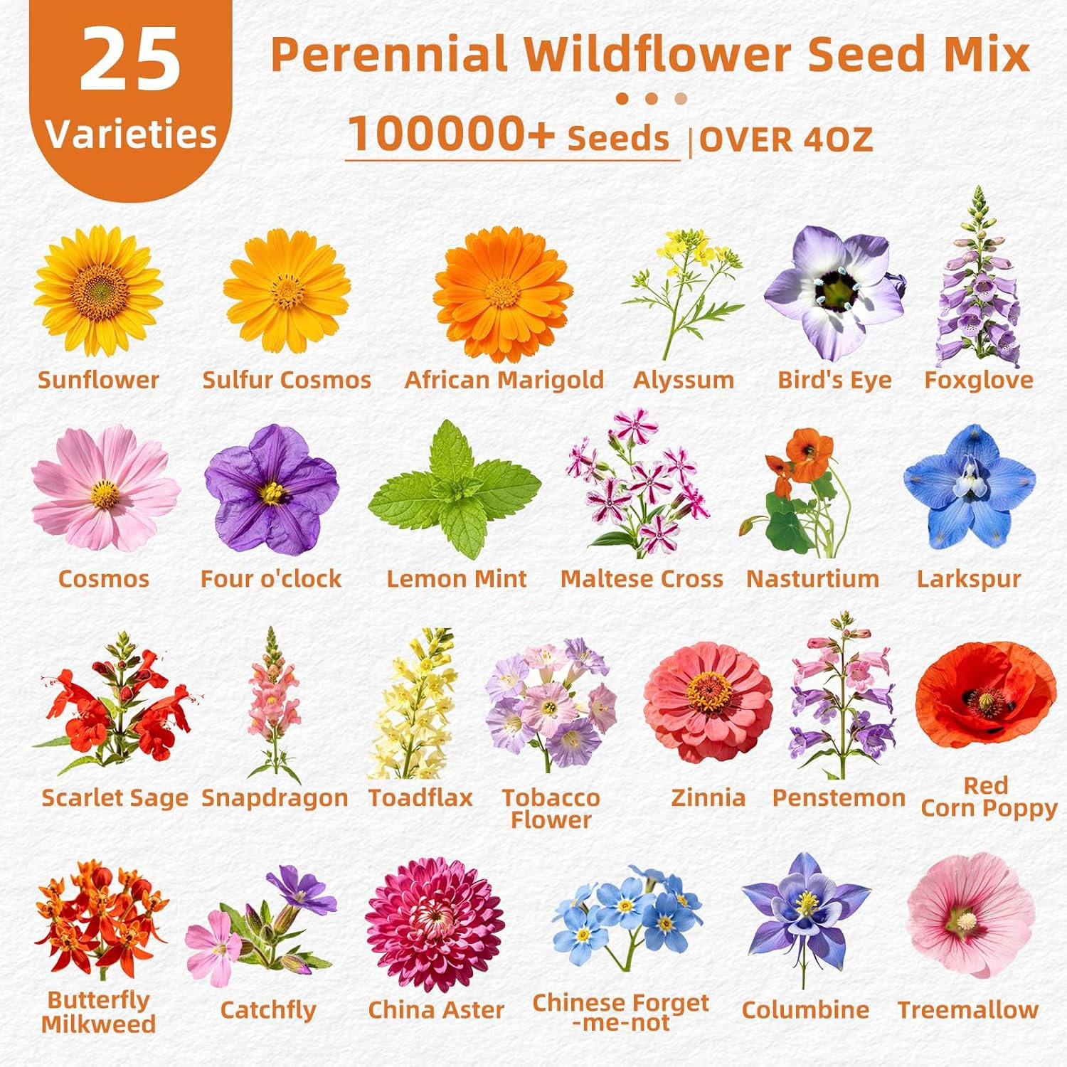 100,000+ Wildflower Seeds Bulk (4oz) – 25 Varieties Annual & Perennial Mix, High