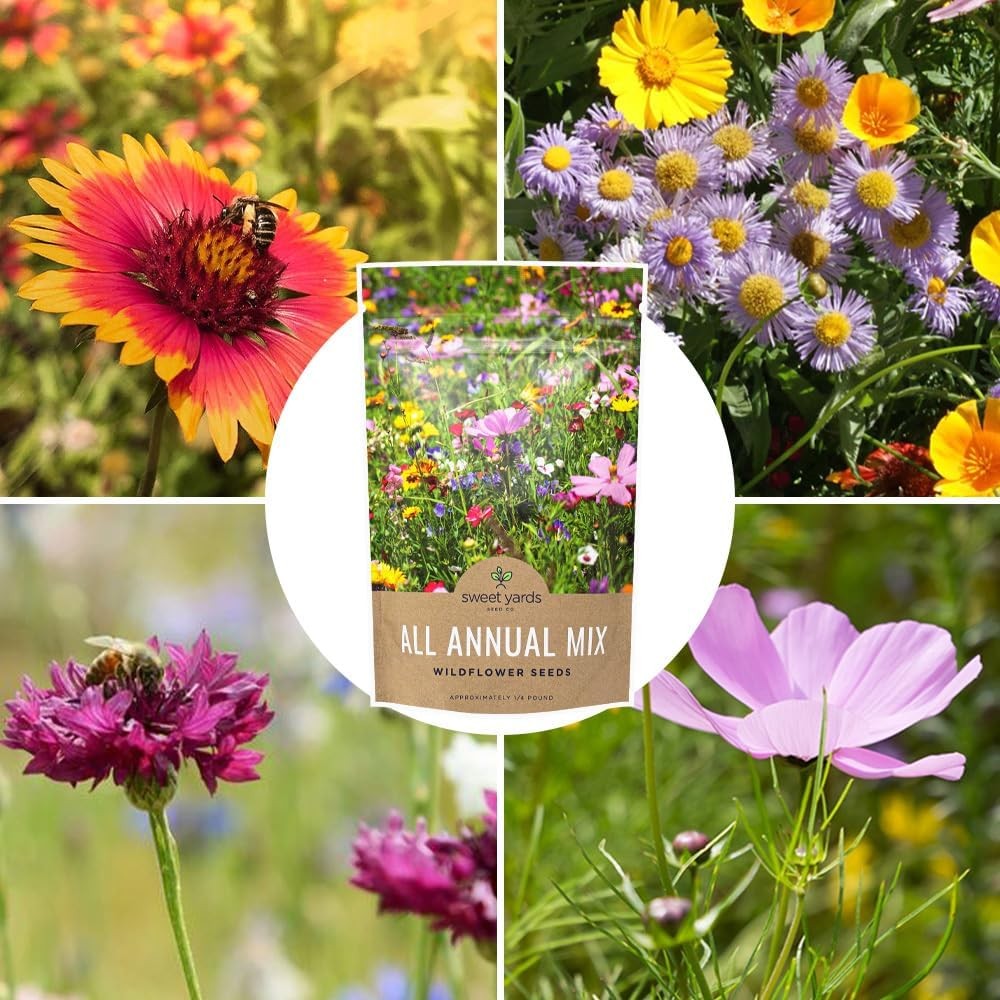 Bulk Wildflower Seeds Annual Quick Blooming Mix – 1/4 Pound Bag – Over 30000